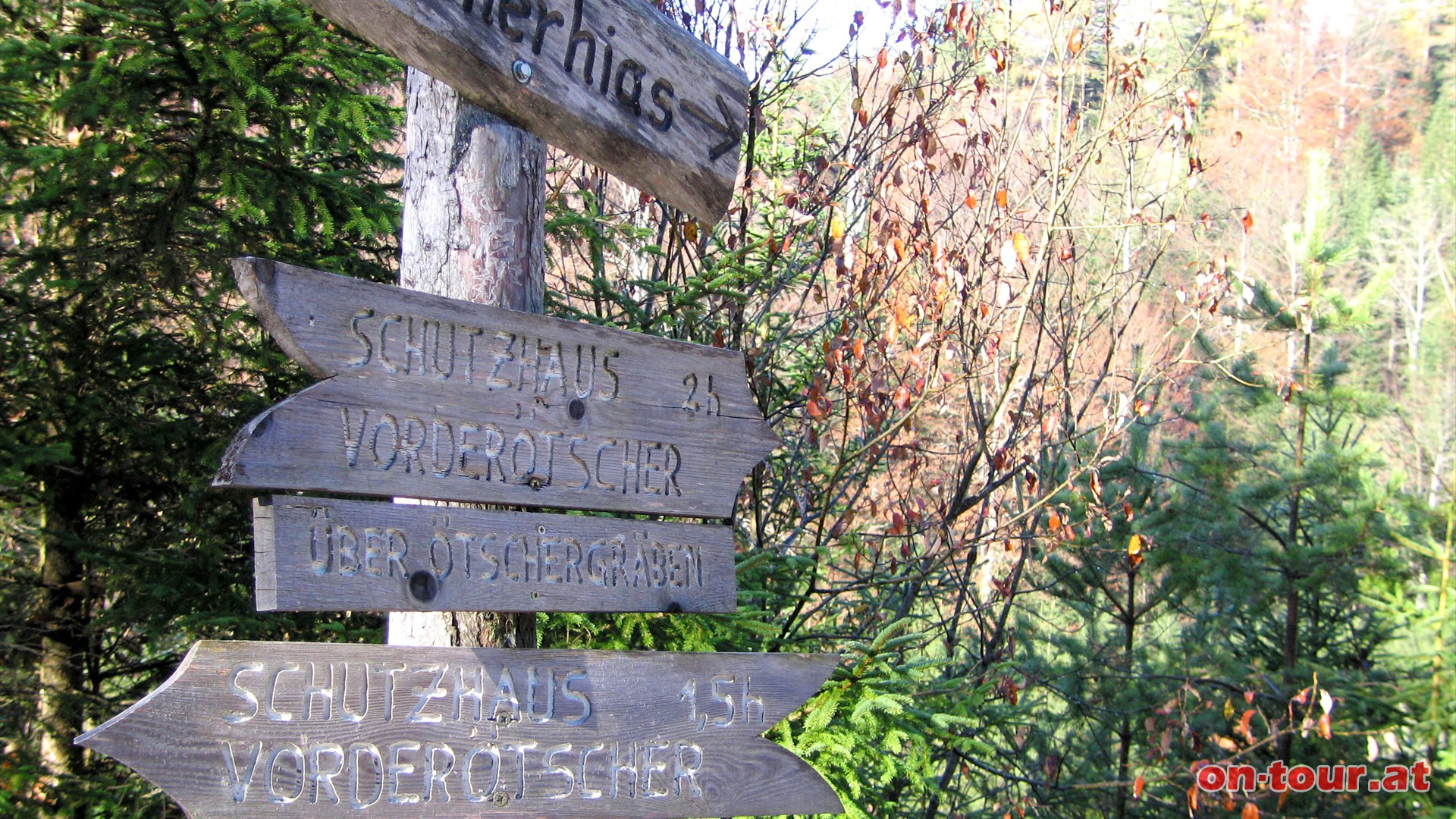 Entlang der Forststrae bis zum Abzweig tscherhias, dann rechts bergab.