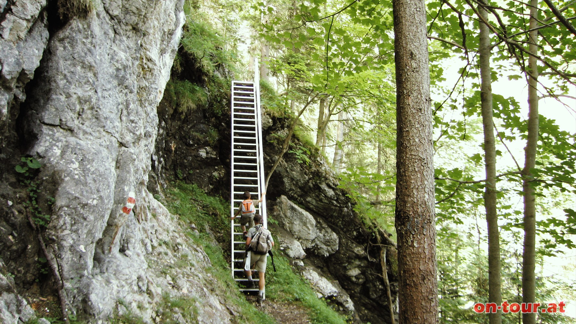 Mehrere steile Leitern und ausgesetzte, aber versicherte, Kletterpassagen sind zu berwinden.