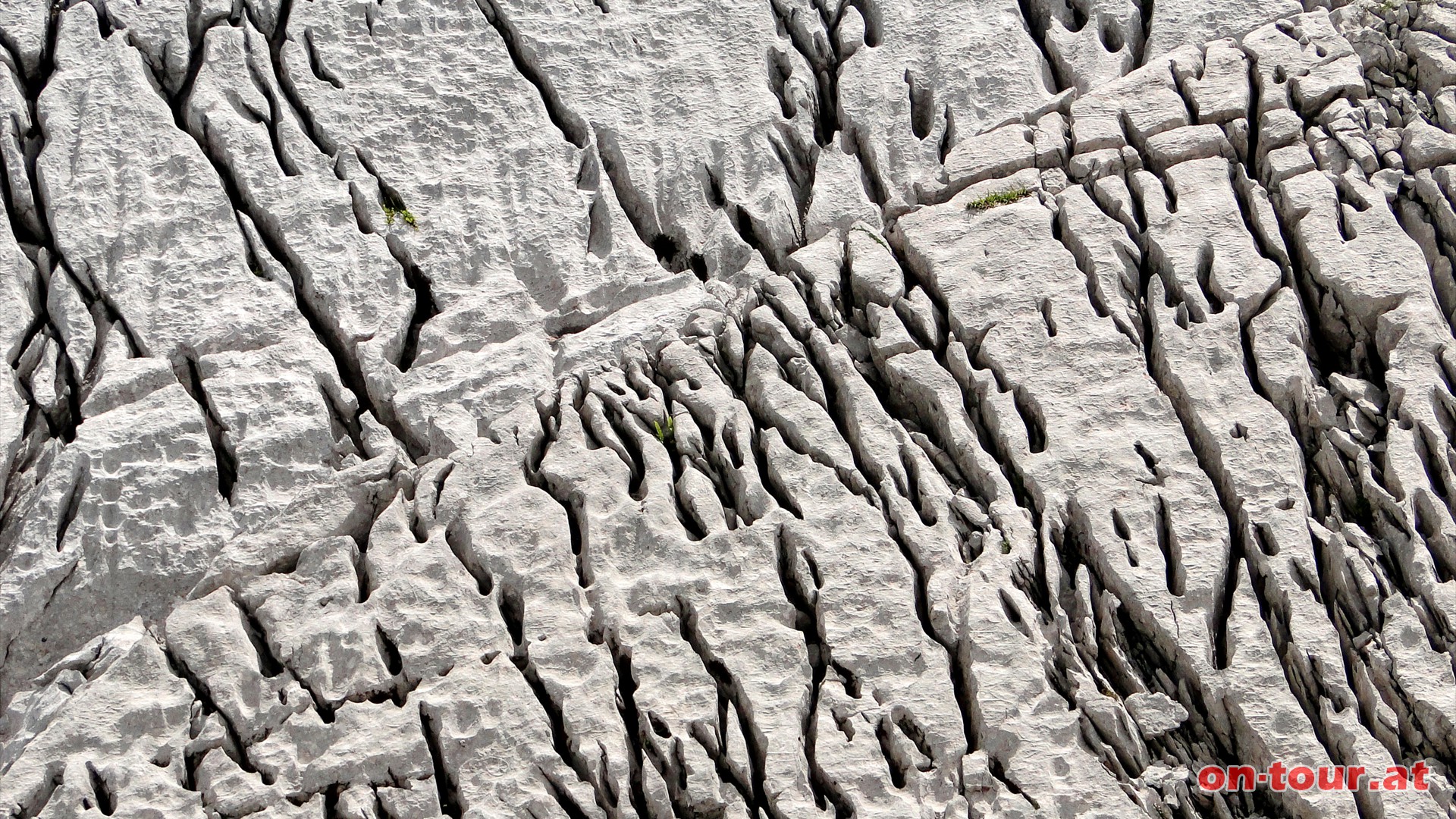 Faszinierende Formen und Zeichnungen in der zerklfteten Karstlandschaft.