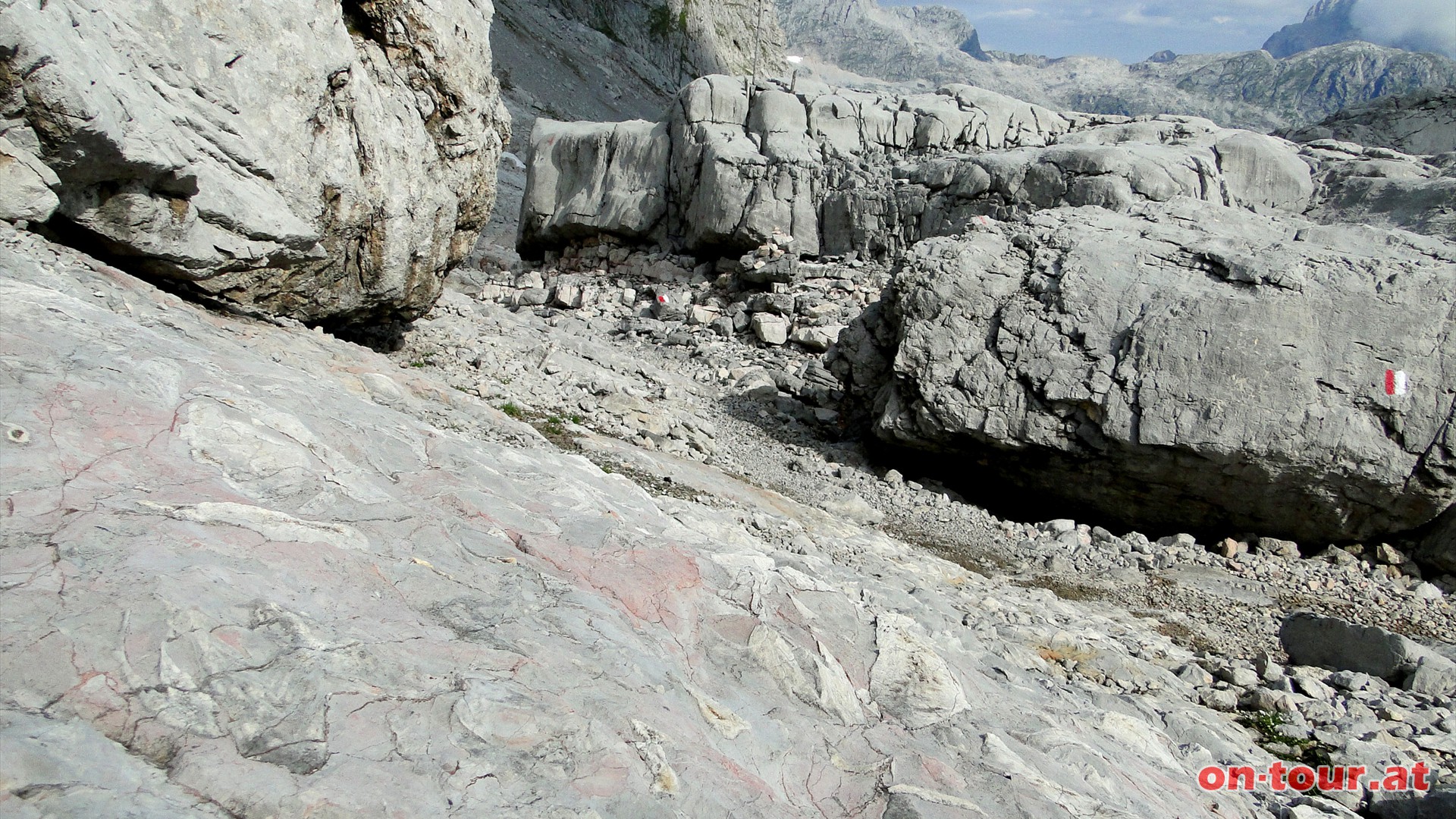 Riesige Steinflchen sind mit unterschiedlichsten versteinerten Meeresbewohnern bevlkert.