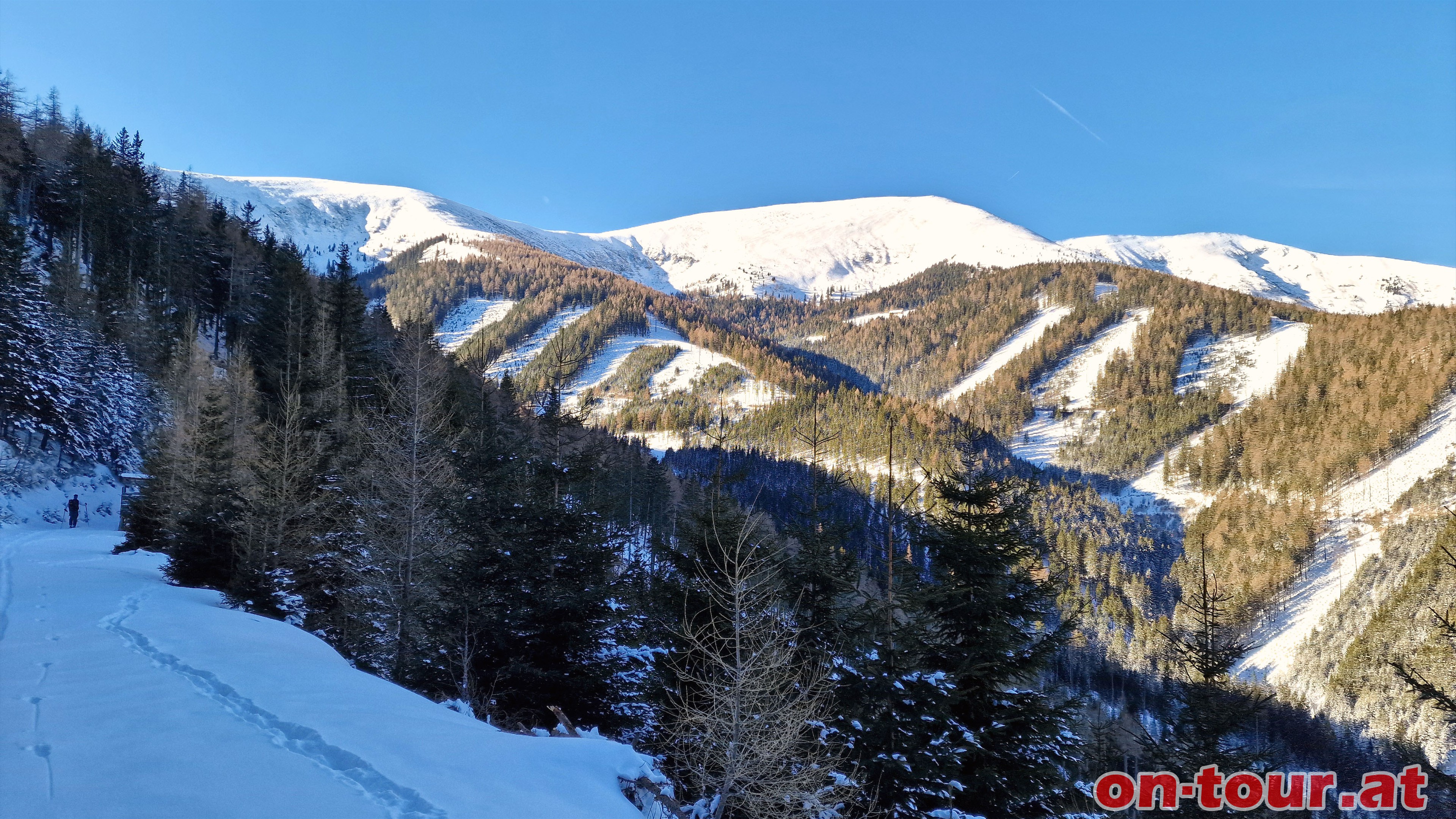 Hofalmkogel, Weienstein, Ameringkogel und Grenberg (li. nach re.).