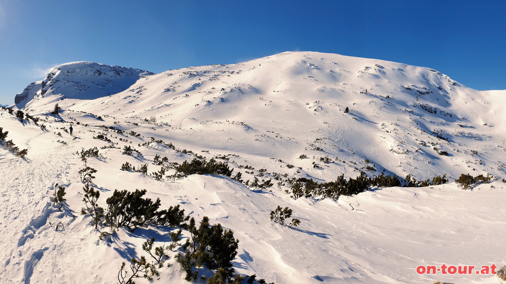 Aufstieg zum Angerkogel.