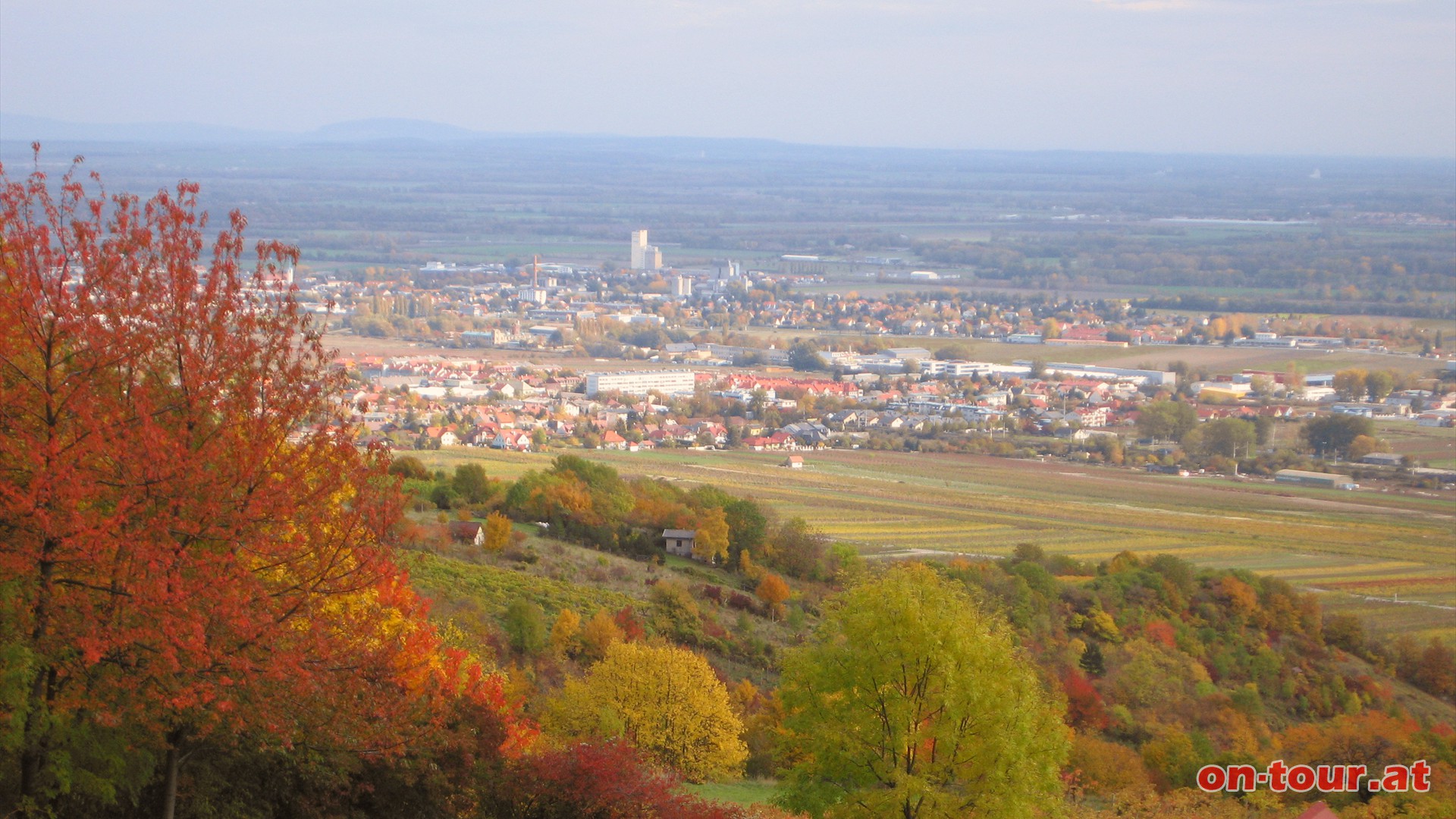 Guntramsdorfblick vom Traiskirchnerblick.