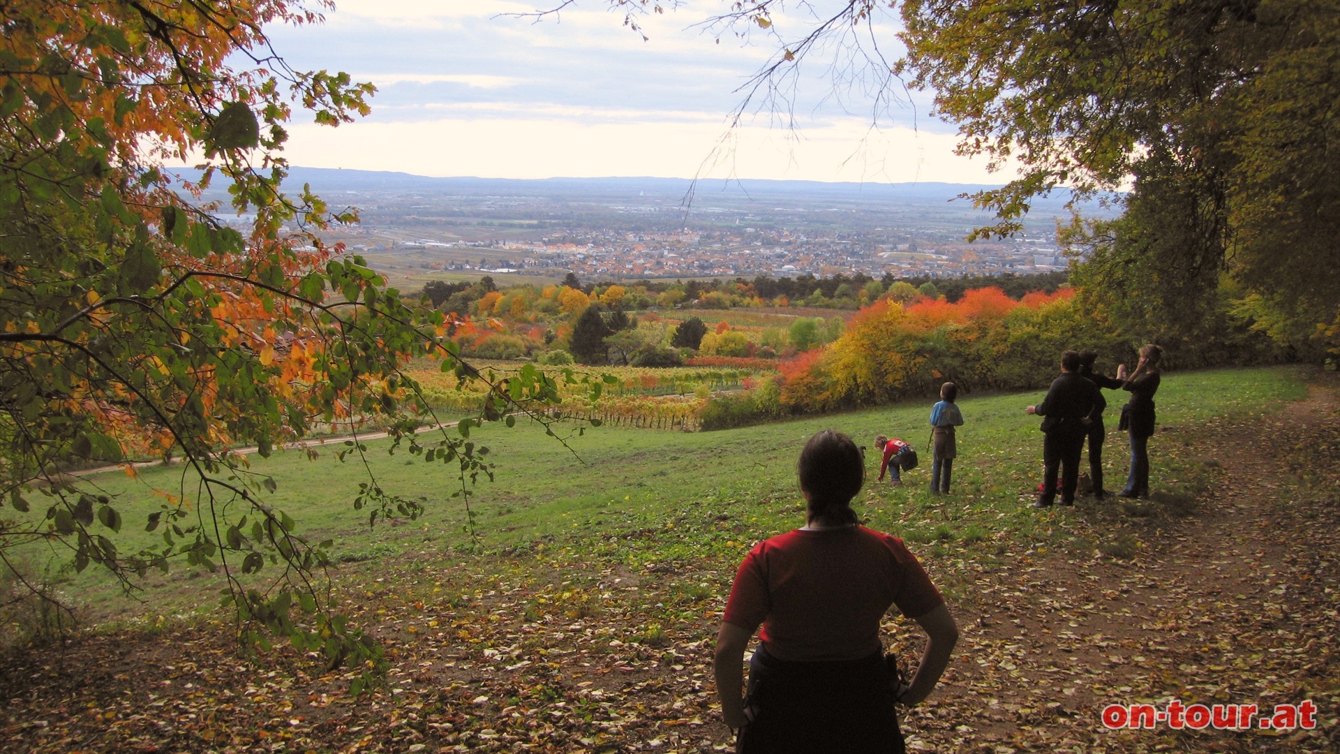 Rastplatz Traiskirchnerblick