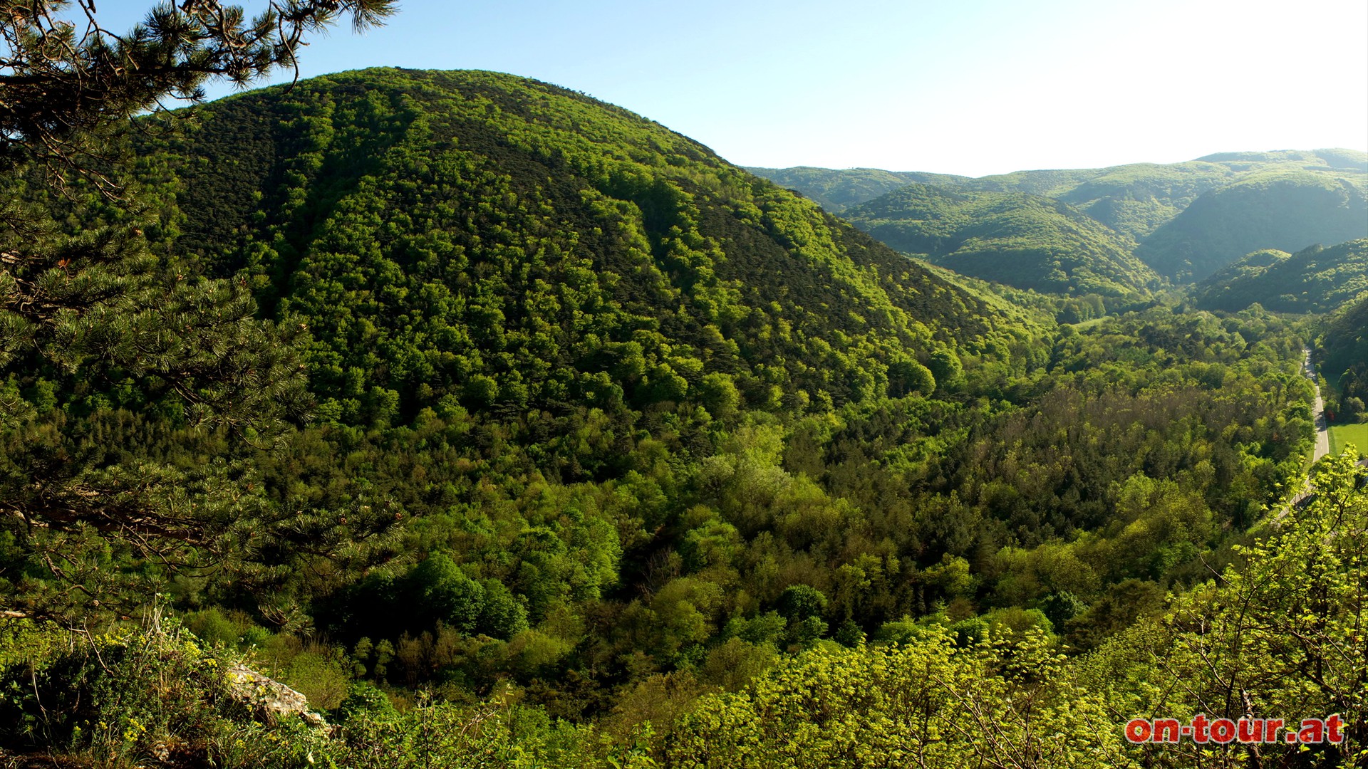 Bei einer Weggabelung den Weg geradeaus weiter bis zur Aussichtskuppe am Schwarzberg, mit herrlichem Panoramablick auf das Helenental. 