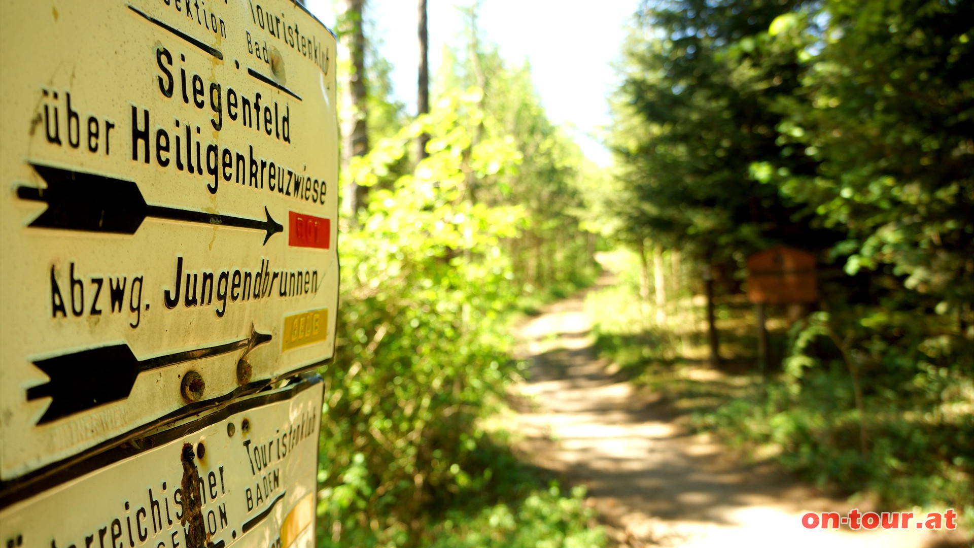 Hinter der Warte weiter bergauf Richtung Siegenfeld. Der roten und gelben Markierung nach Westen folgen. 