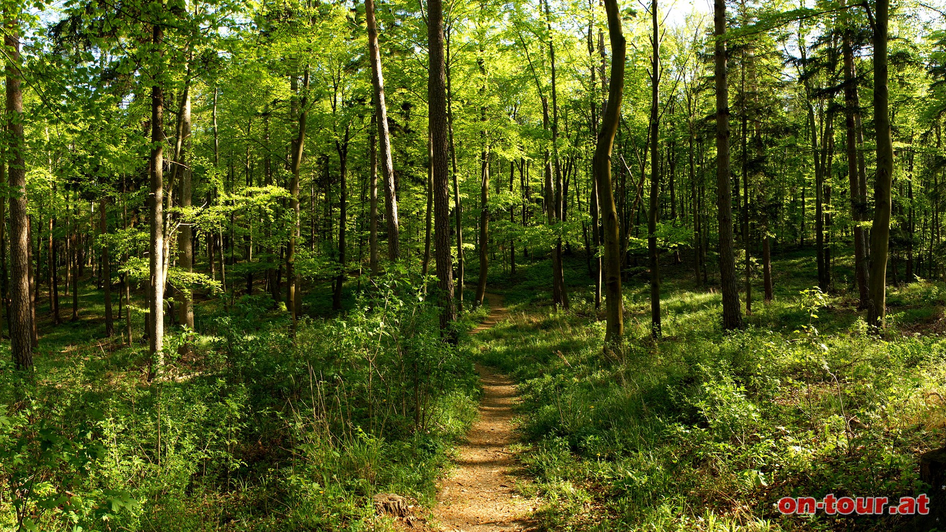 Nach der Straenquerung folgen in sdstlicher Richtung eine Siedlung, ein Waldweg und eine Forststrae.