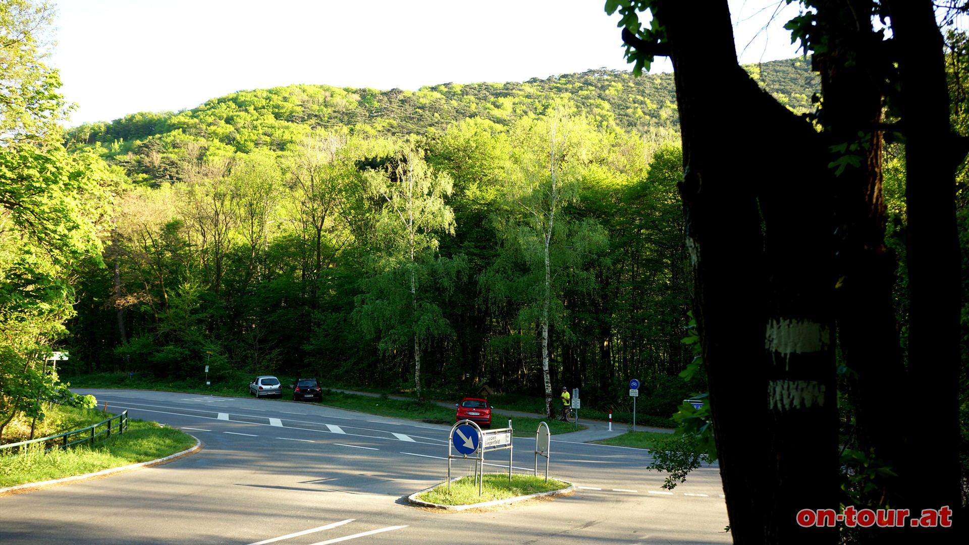 Nun den markierten -Badener Steig-, mit einigen alten Steinstiegen, bis zur Straße bergab und im Helenental zurück nach Baden. 