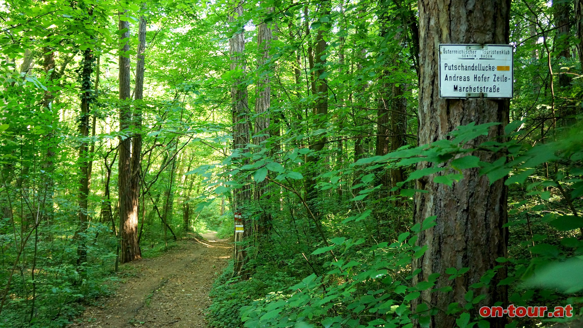 Richtung -Haupteingang Kurpark Baden- weiter. Beim Abzweig -Putschandellucke- scharf nach rechts (gelbe Markierung) ......