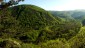 Bei einer Weggabelung den Weg geradeaus weiter bis zur Aussichtskuppe am Schwarzberg, mit herrlichem Panoramablick auf das Helenental. 