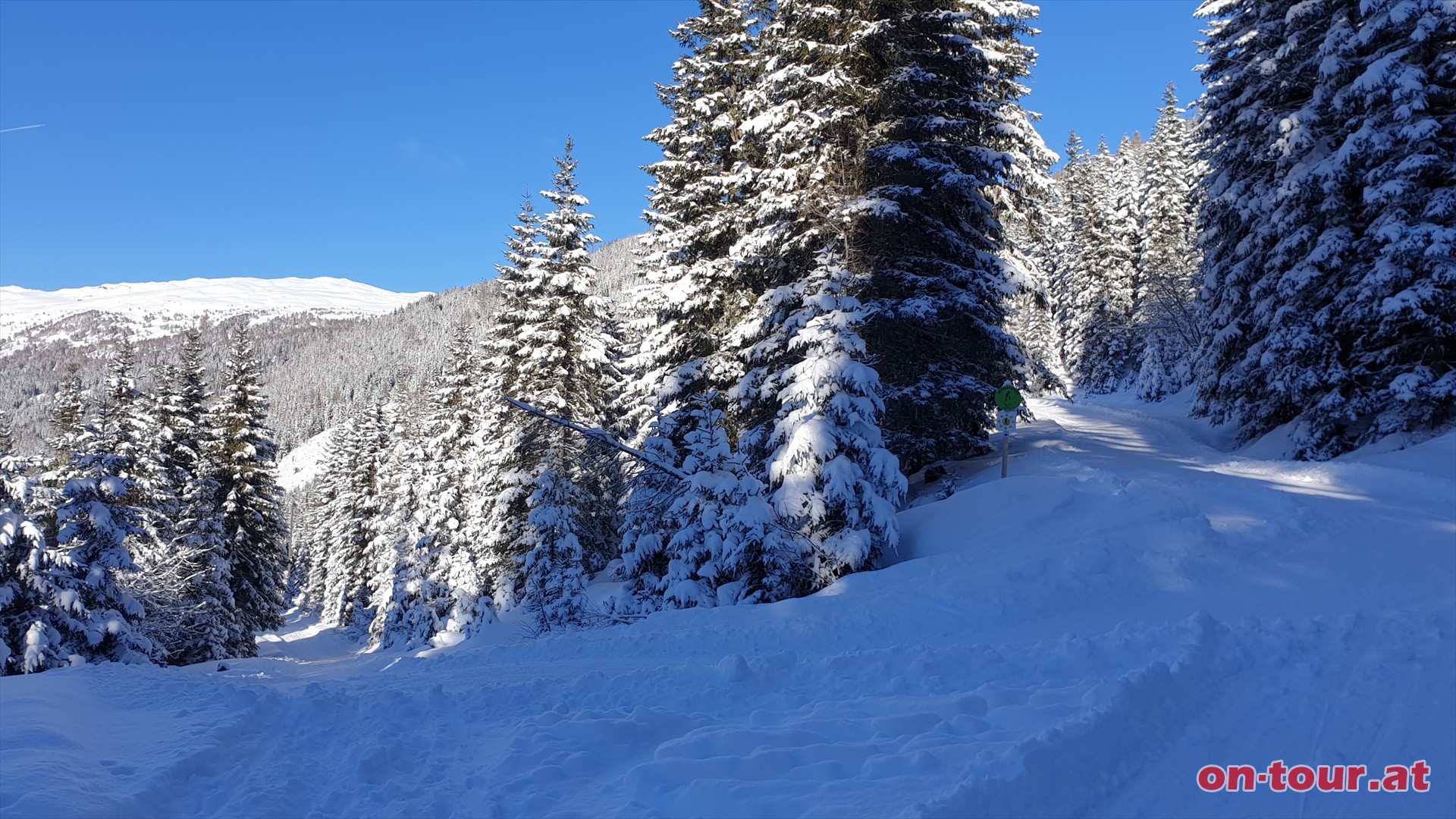 Abfahrt wie Aufstieg. Optional bei ca. 1600m Aufstieg zum Grnleitennock.