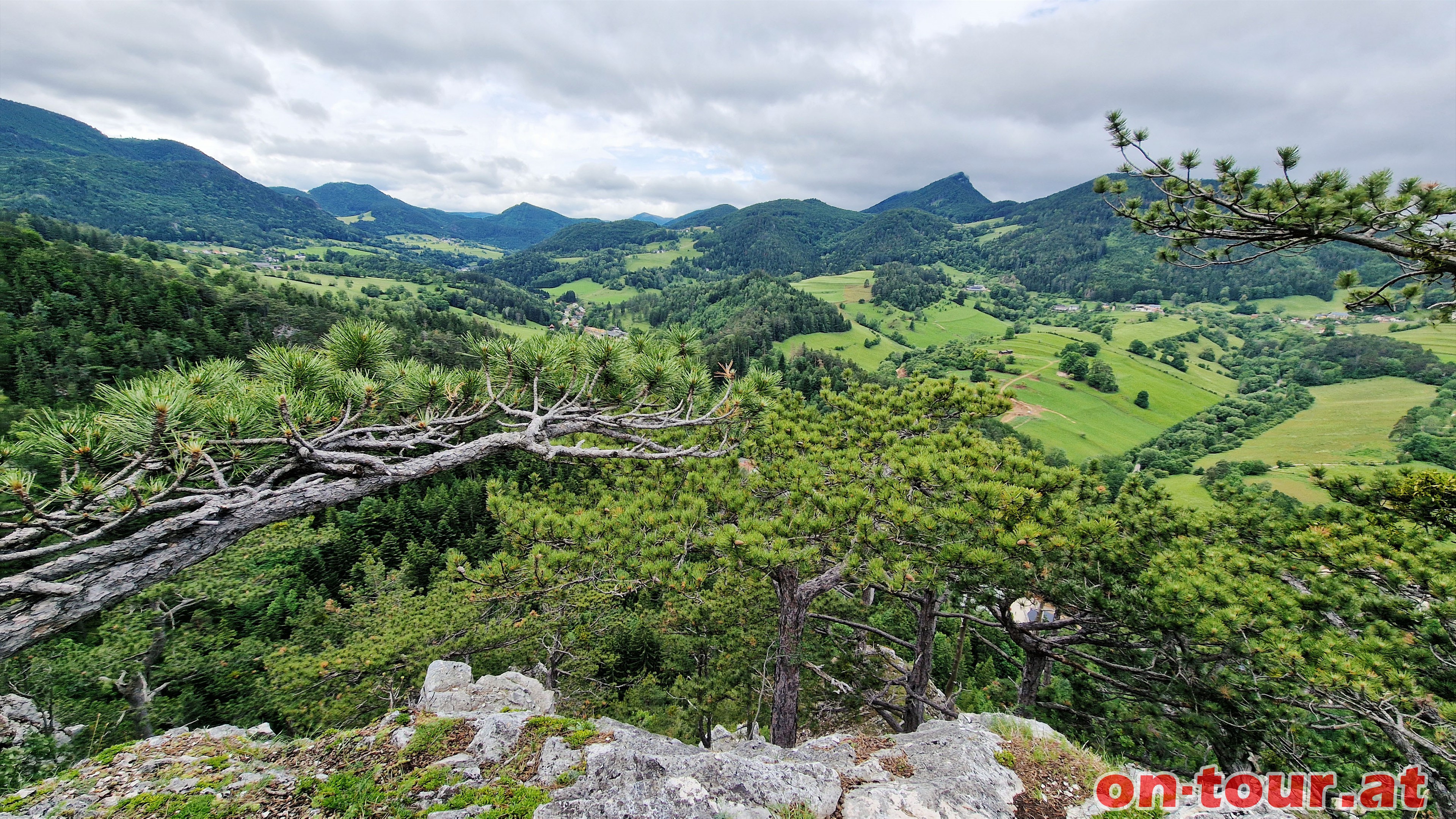 Blick Richtung Miesenbach.
