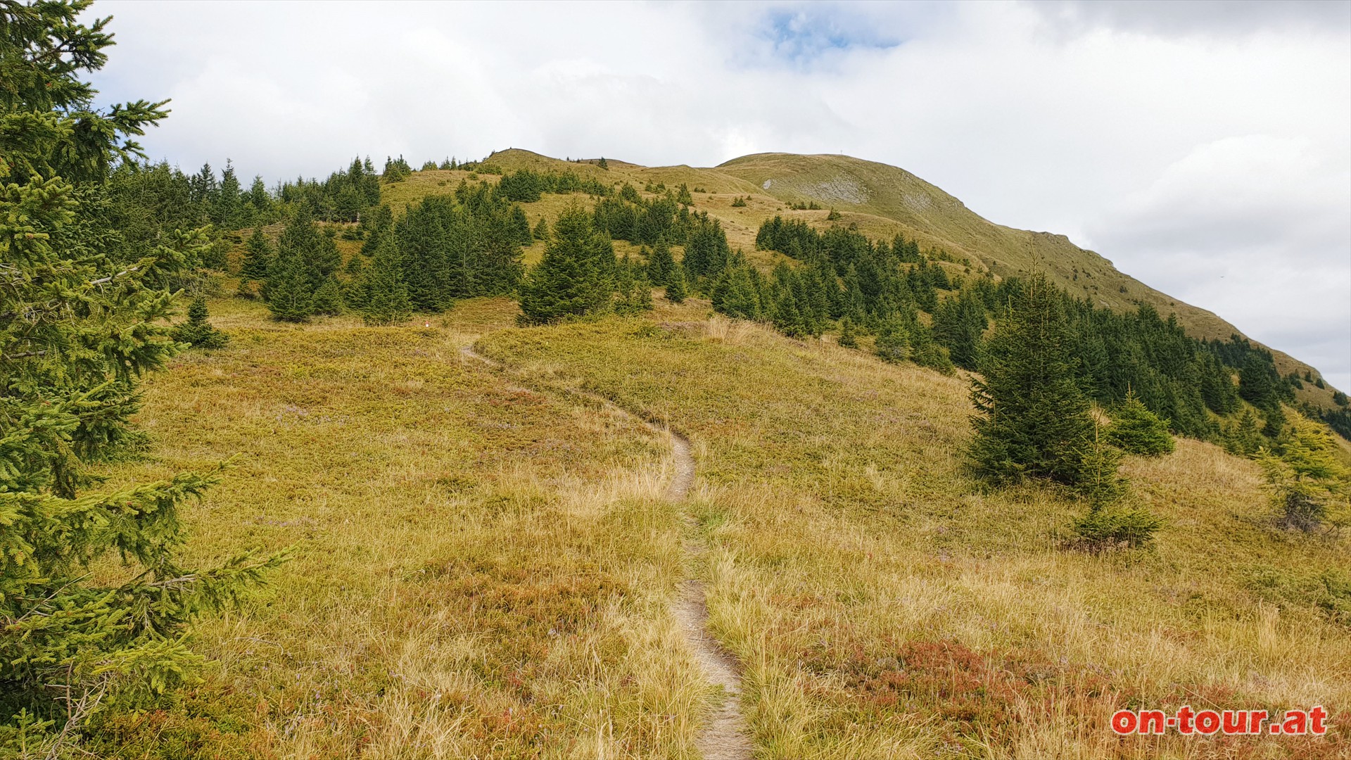 Aufstieg zum Grubereck.