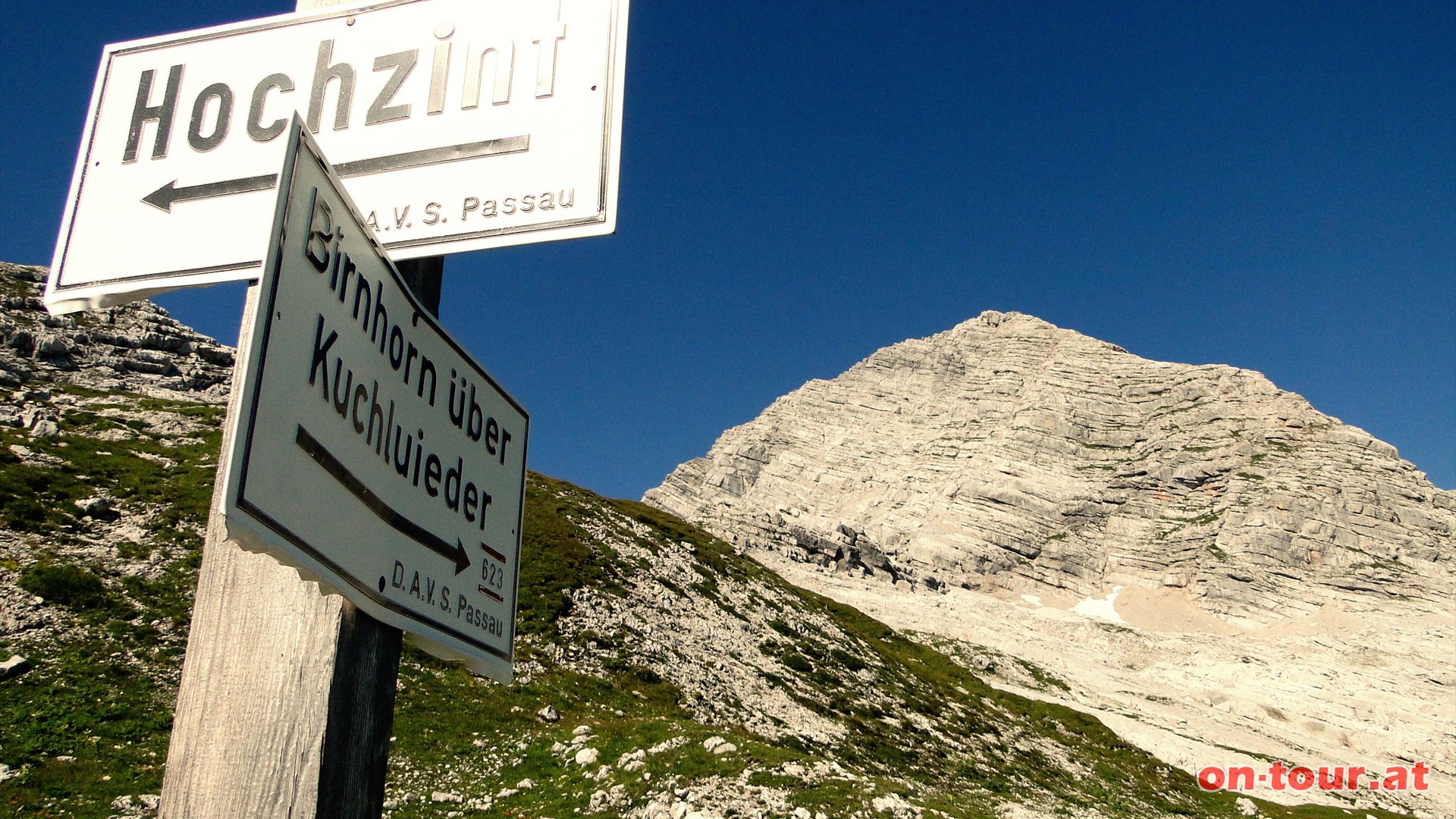 Weiter bis zum Abzweig und links Richtung Hochzint (Aufstiegsvariante Birnhorn-Sdwand). Rechts das Birnhorn.