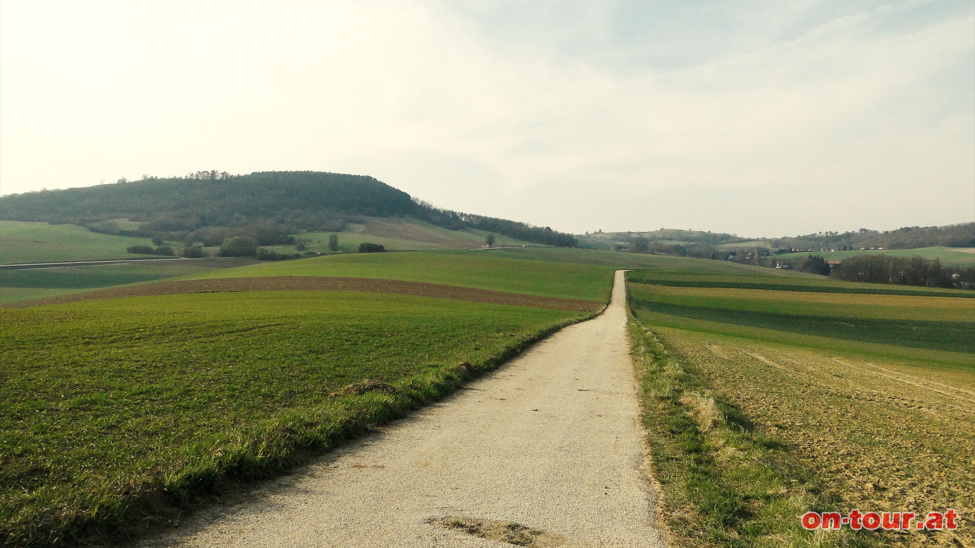 ...... zur Gabelung Richtung Nodendorf. Bergauf bis zum Wegkreuz, dann links, am Feldweg weiter. Schner Rckblick zum Oberleiser Berg (li.).