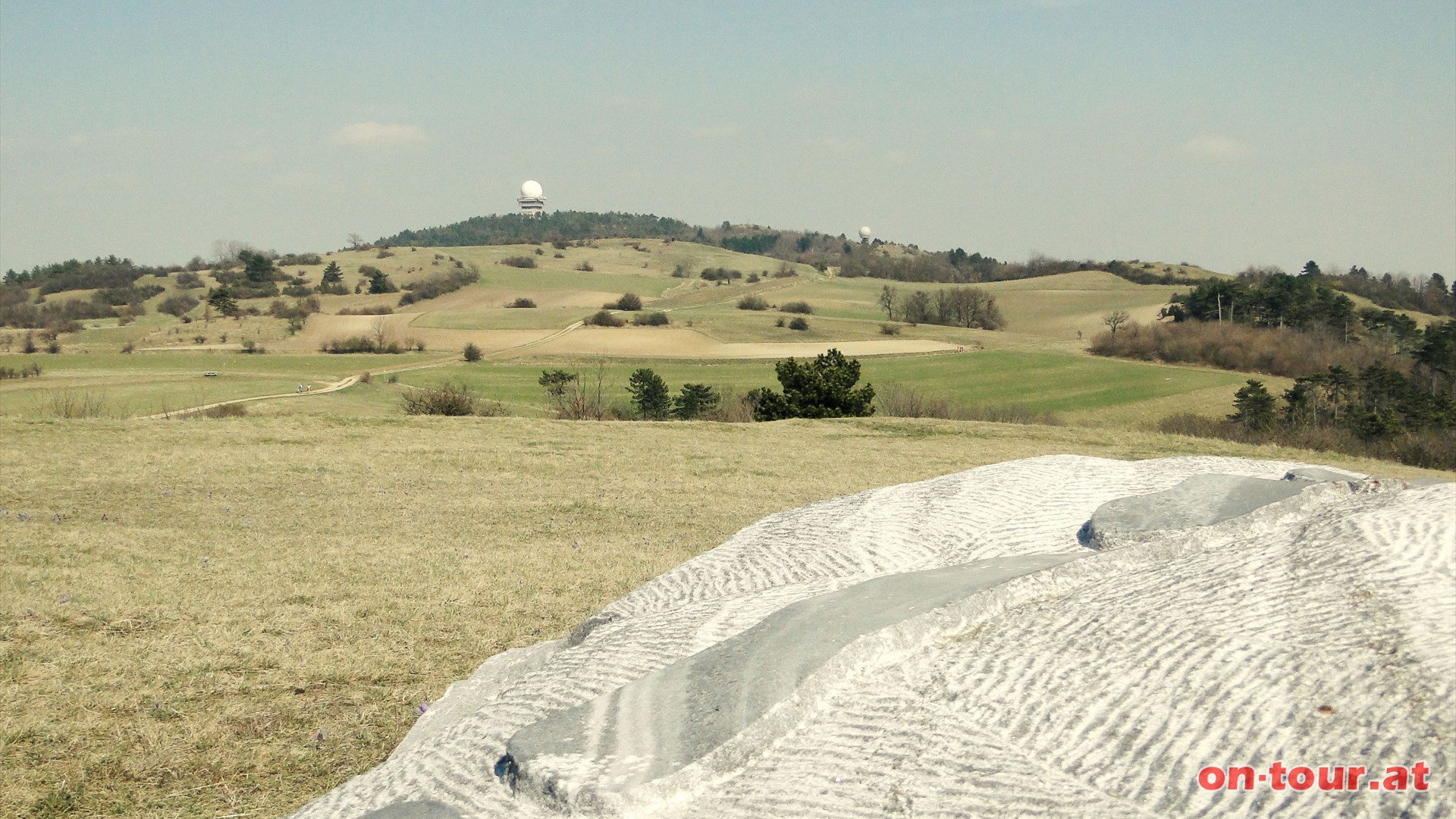 Der Buschberg ist mit seinen 491 m die hchste Erhebung im Weinviertel. Am Gipfel befinden sich die niedrigst gelegene Alpenvereinshtte, sowie eine Radarstation.