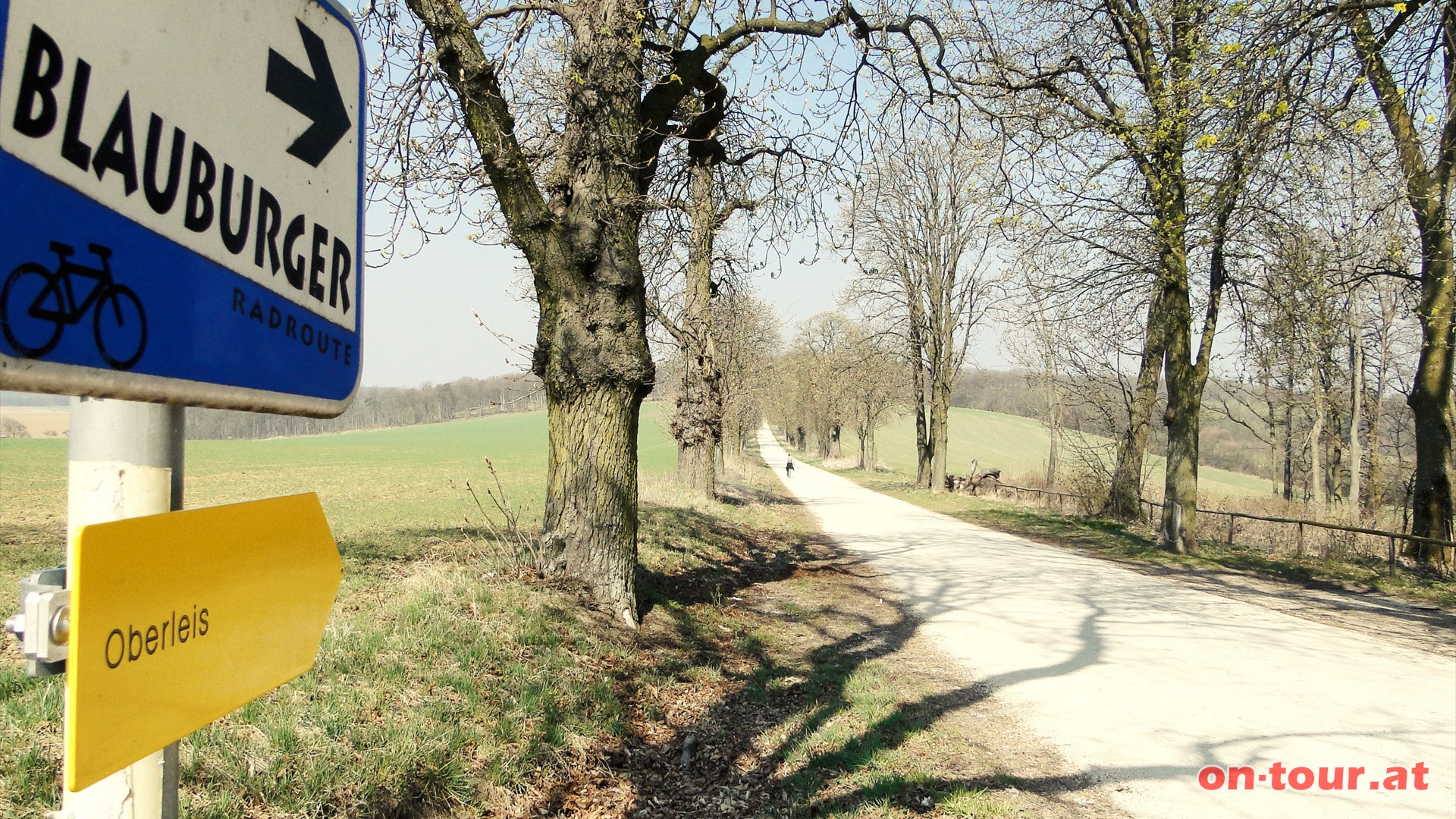 Nun fhrt die sehr, bzw. auch zu, grozgige Umgehung des Wildparks entlang der -Groen Alleen- Richtung Oberleis.