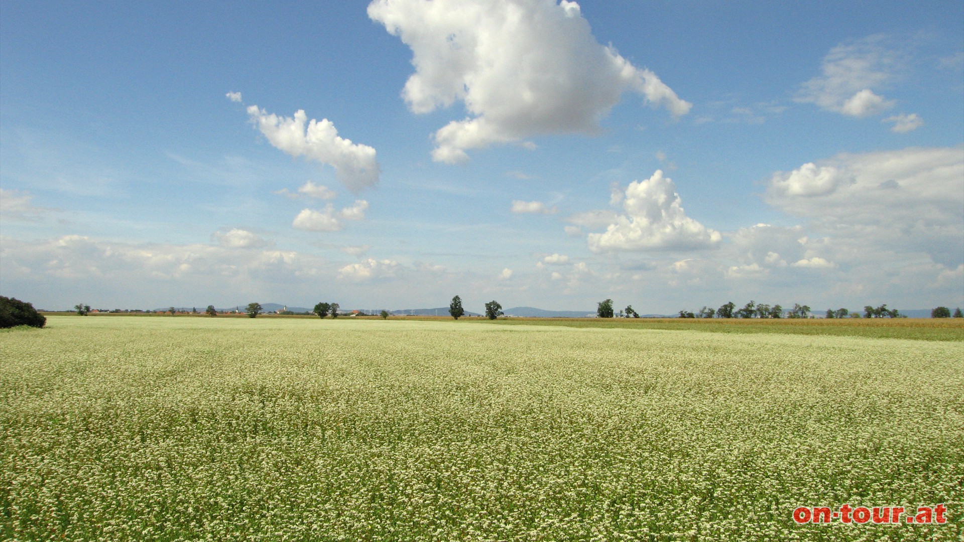 Herrliche Ausblicke ins weite Land.