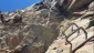 Der Aufstieg zur Hohenwartscharte ist gut versichert (Schwierigkeit B-C). Klettersteigset und Steinschlaghelm sind sinnvoll.