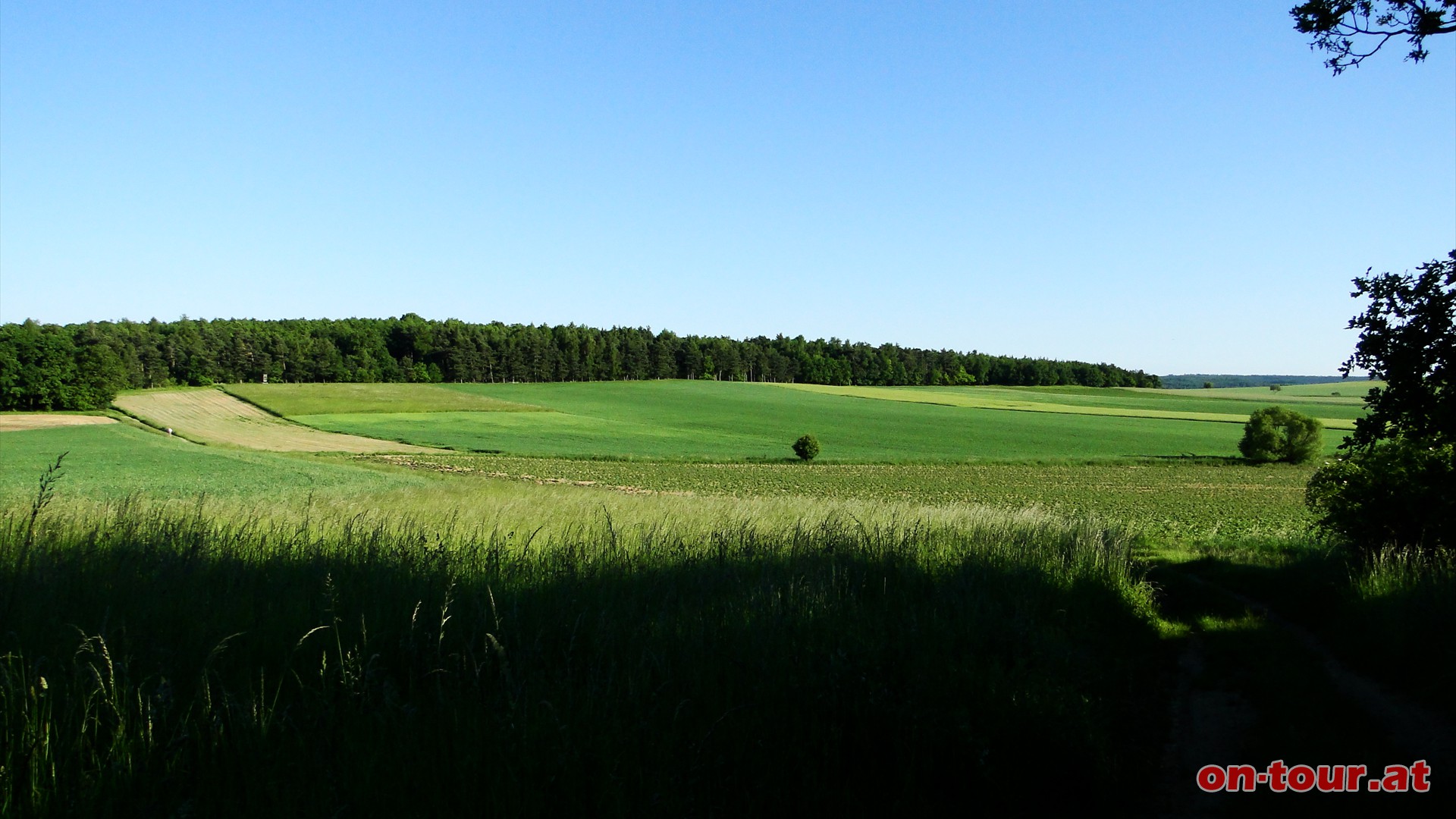 Weiter nach Nordwesten und den Feldweg zum Kalvarienberg entlang (Rckblick zum Galgenberg).