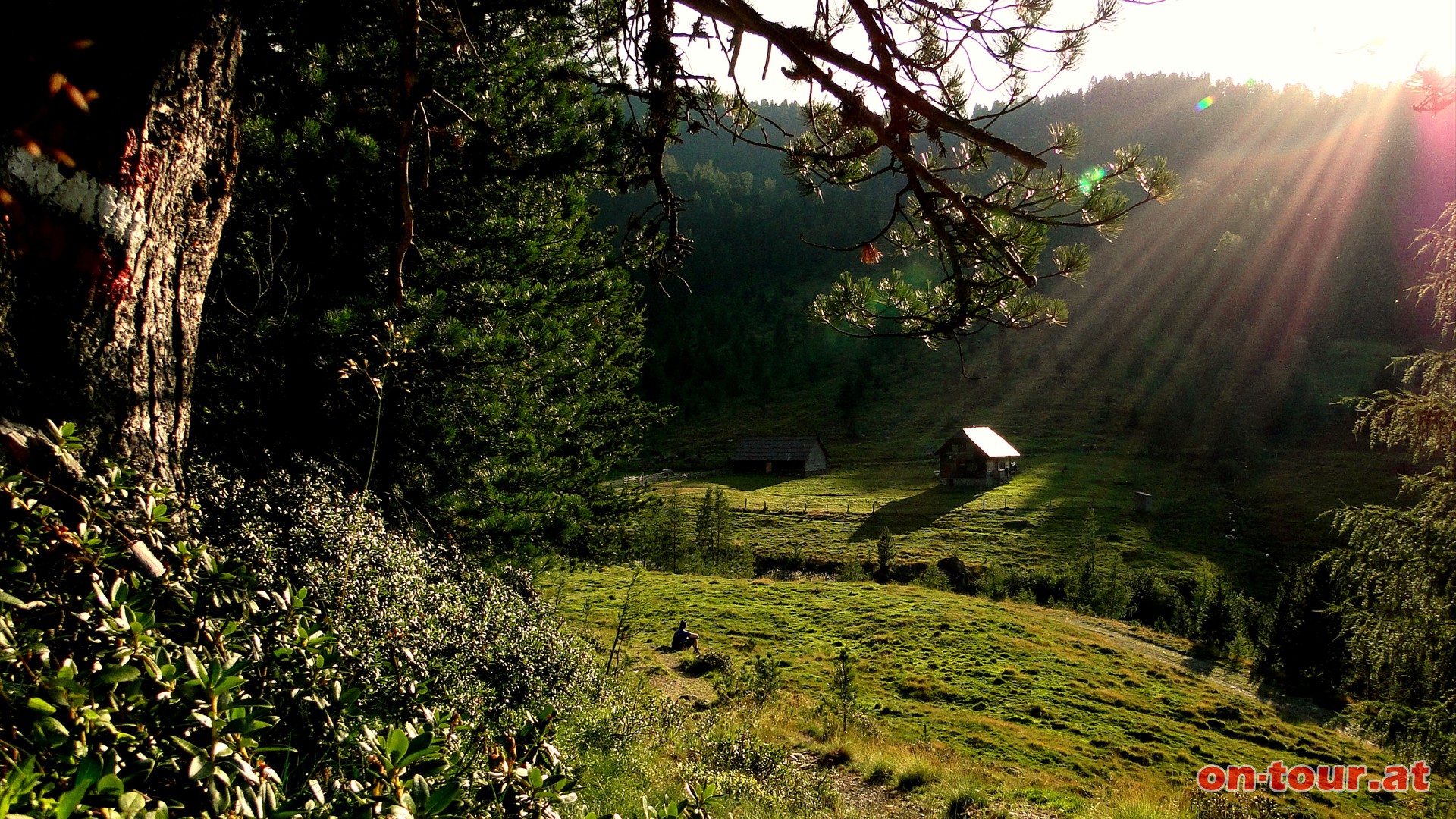 ber die Grillendorferalm und den Engeleriegel zurck zur Turracher Hhe.