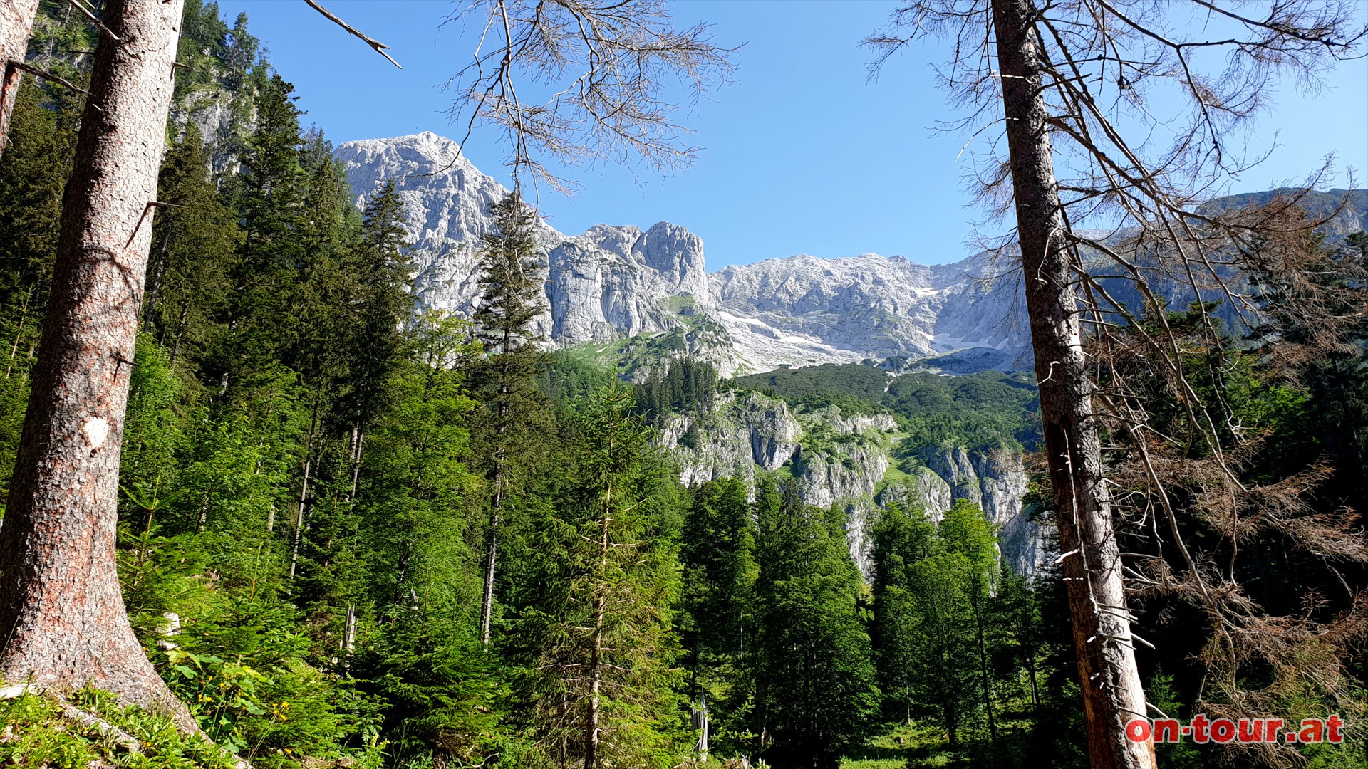 Koderboden; Blick auf Hochtorgruppe und Festkogel (links).