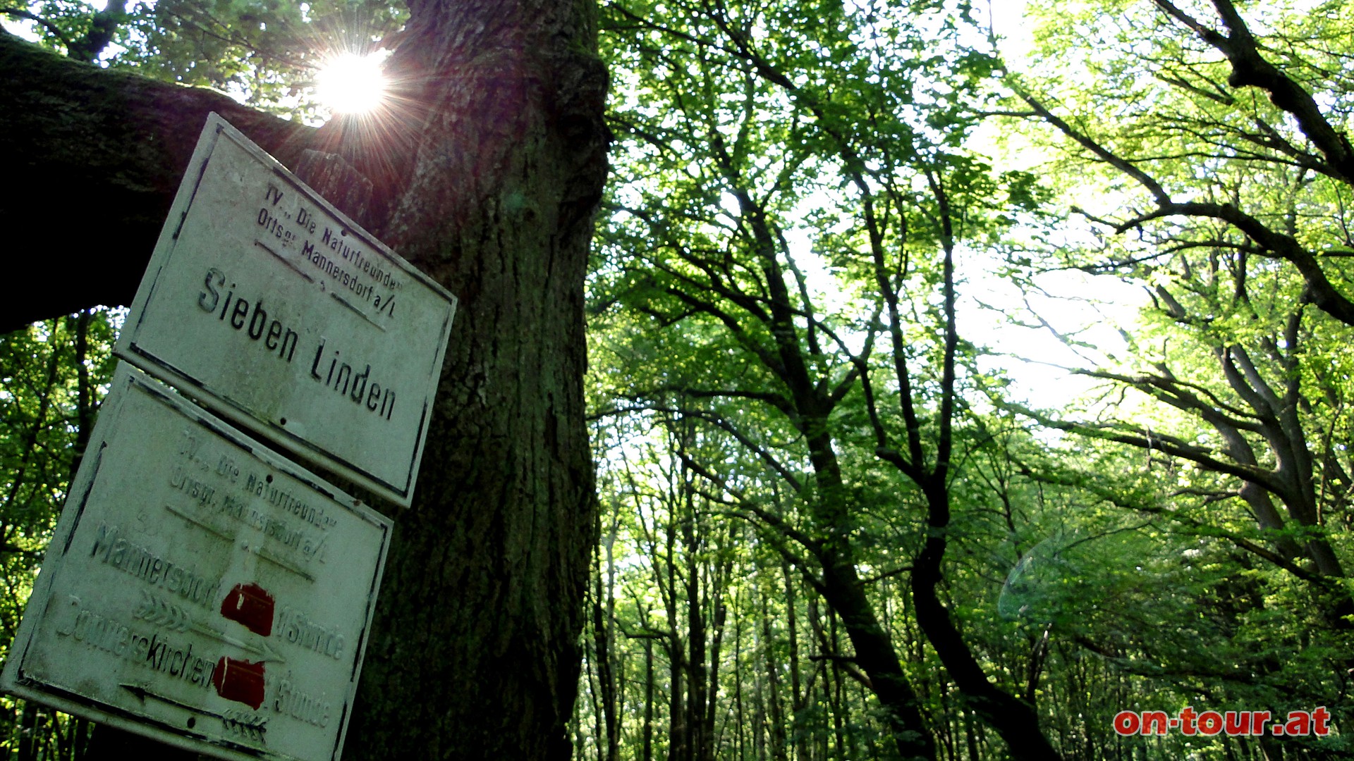 Bei den -Sieben Linden-.