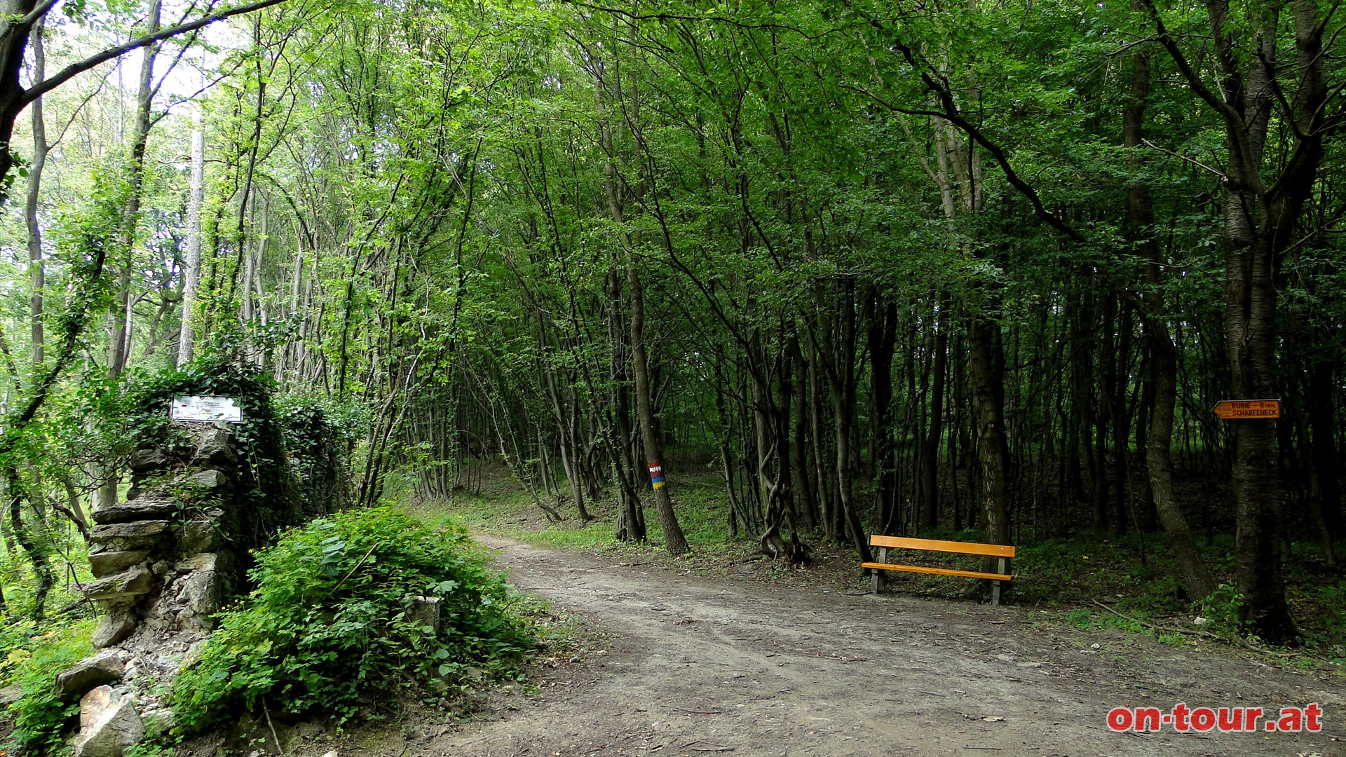 Bergauf bis zur Weggabelung -Ruine Scharfeneck- bzw. -Franz-Josef-Warte-.