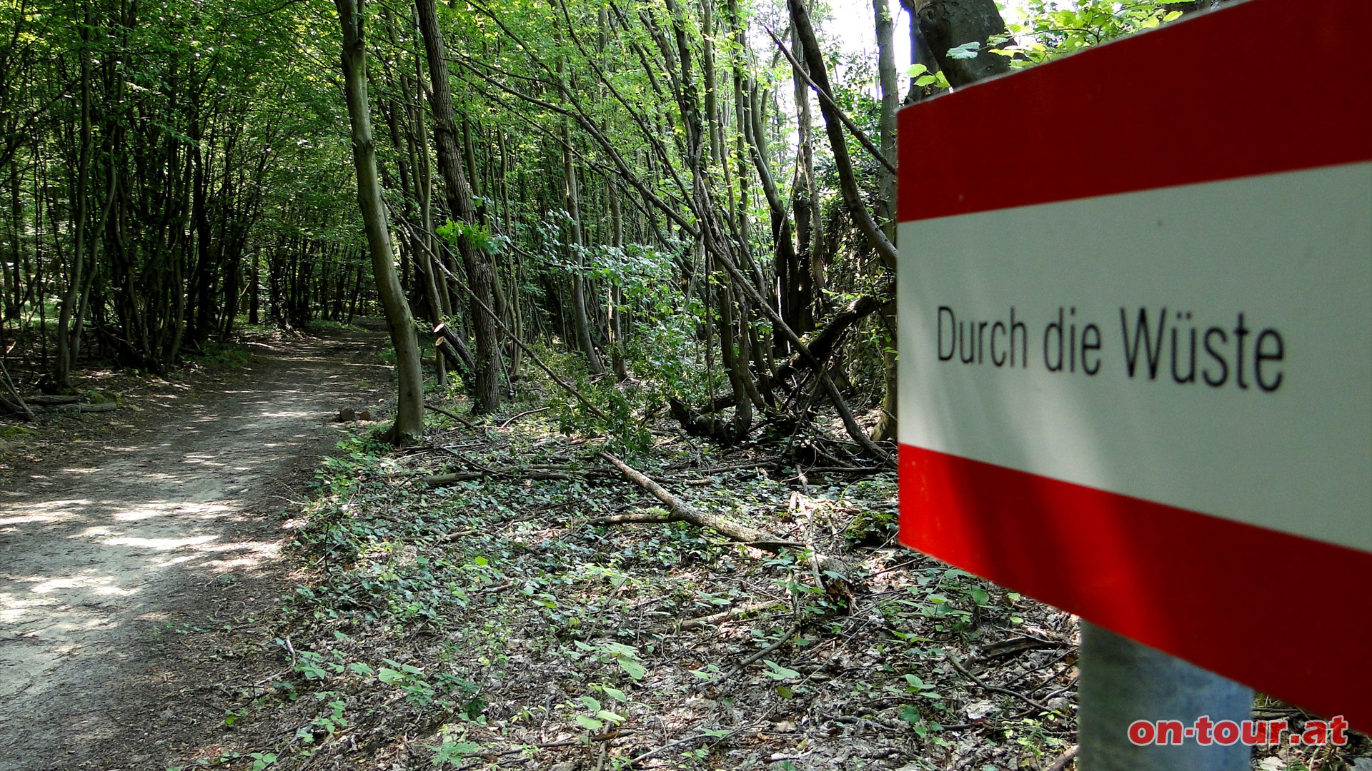 Wieder retour zur Gabelung und Richtung Kaiser-Warte.