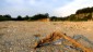 Danach auf dem markierten Weg zum -Naturpark W�ste- (mit kargen w�sten�hnlichen Impressionen) zur�ck.