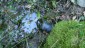 Kaltes Br�ndl (eher Br�ndelchen)