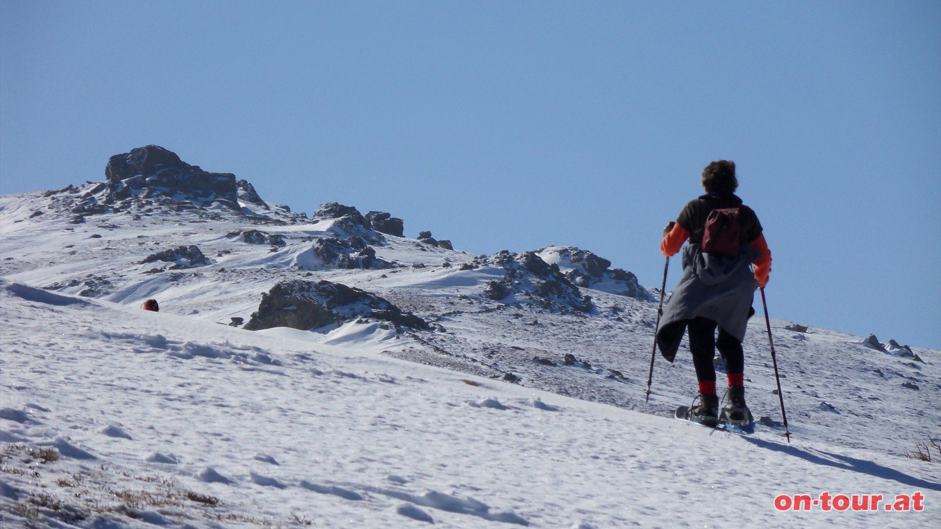 Aufstieg zum Geierkogel.