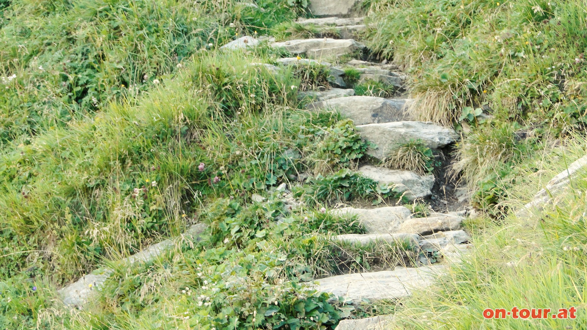 ber komfortable Steinstufen geht es hinunter ins Gschlsstal.