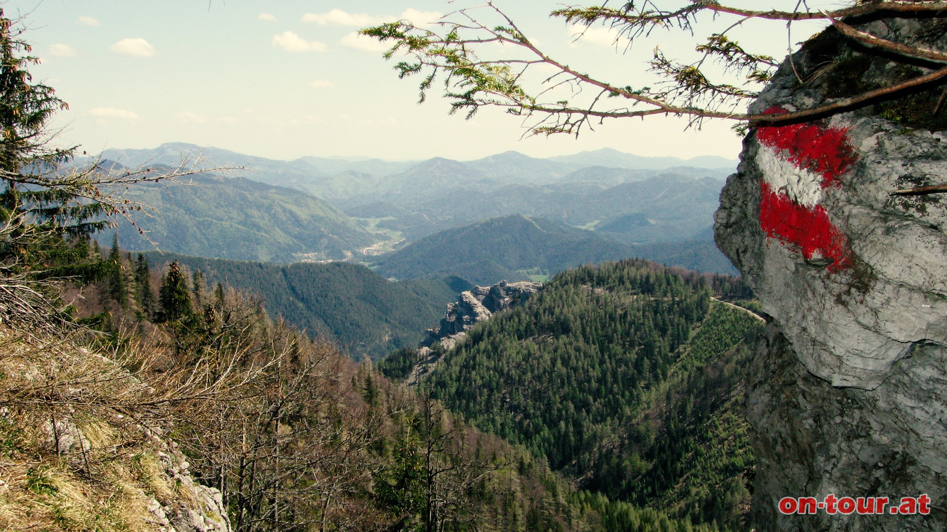 Im Nordosten reicht der Blick bis nach St. Aegyd hinunter.