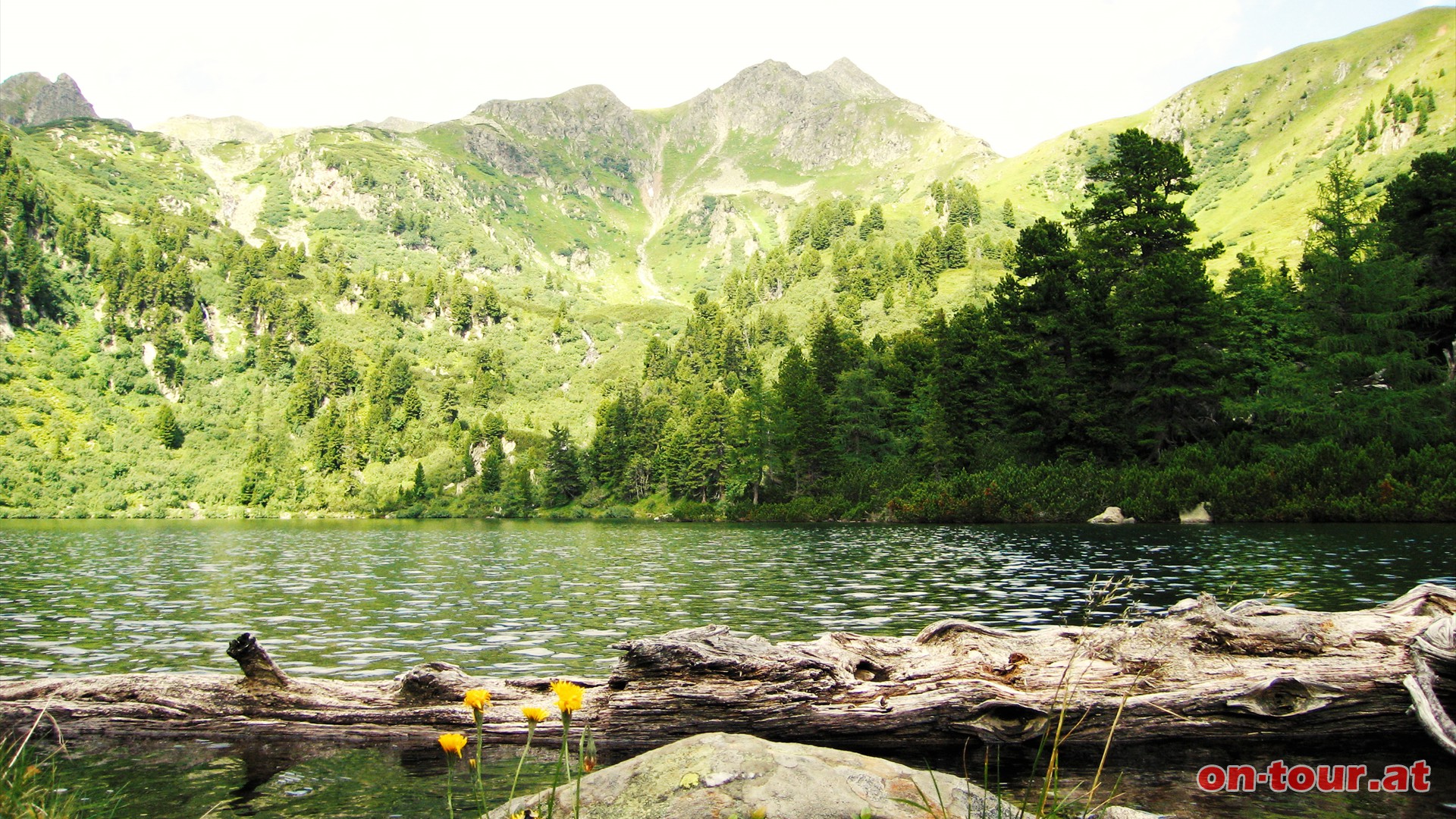 Großer Scheibelsee. Der Bösenstein im Hintergrund.