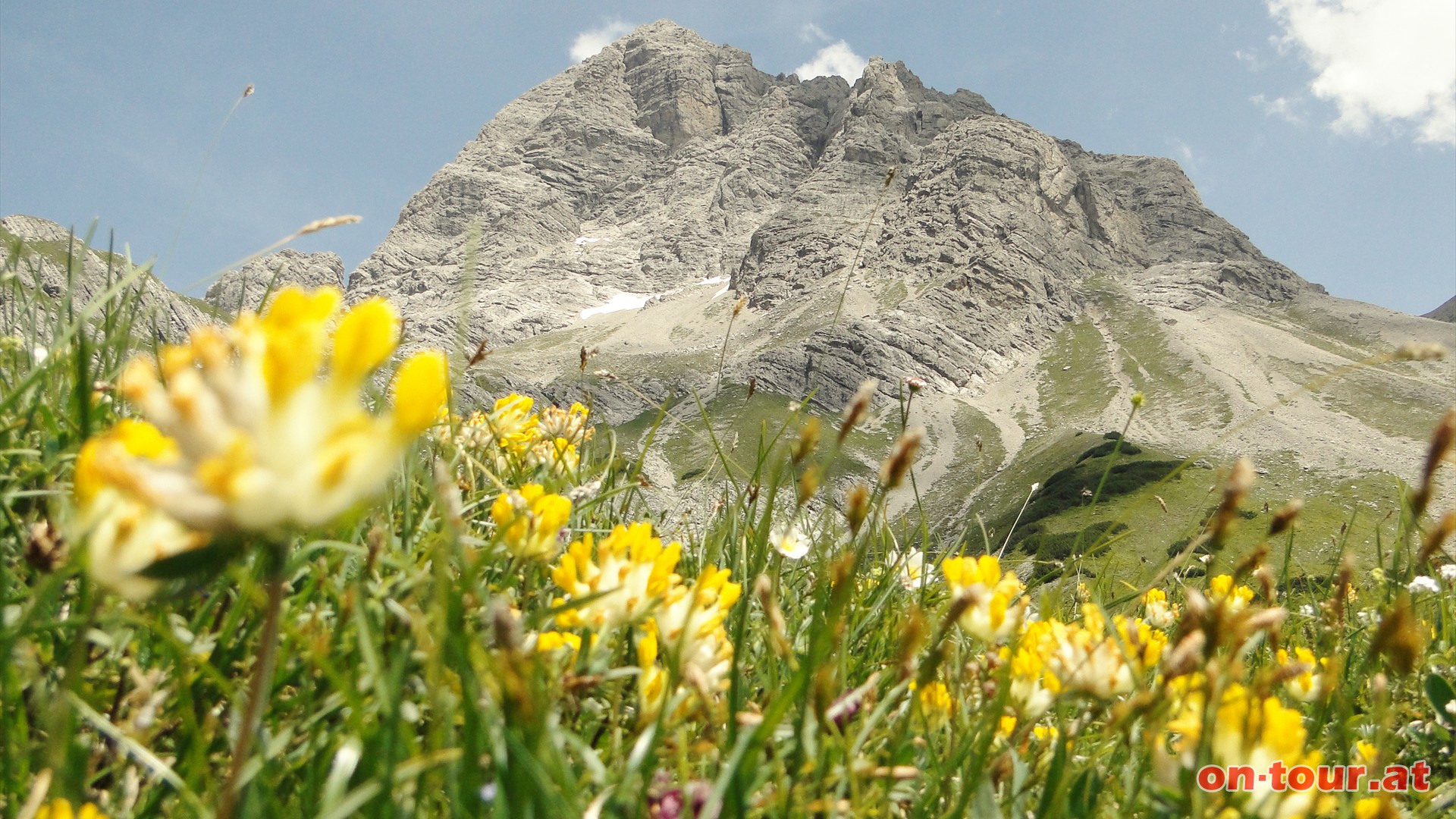 Die trapezfrmige Sdwestflanke des Groen Krottenkopfes, dem hchsten Berg der Allguer Alpen.