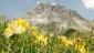 Die trapezfrmige Sdwestflanke des Groen Krottenkopfes, dem hchsten Berg der Allguer Alpen.