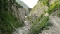 Richtung Rossgumpenalpe durch das Hhenbachtal. Bald auf einer Forststrae den engen Graben steiler bergauf. 