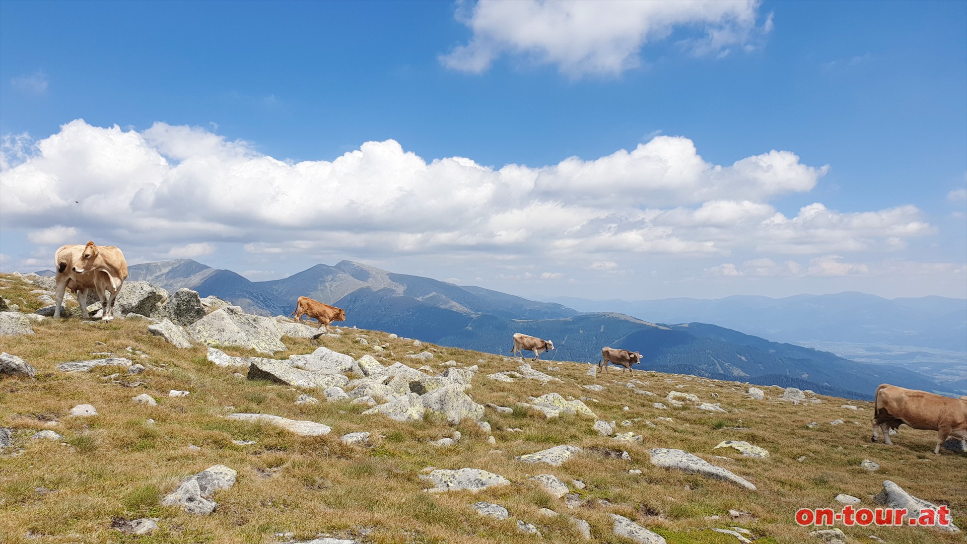 Kleiner Ringkogel