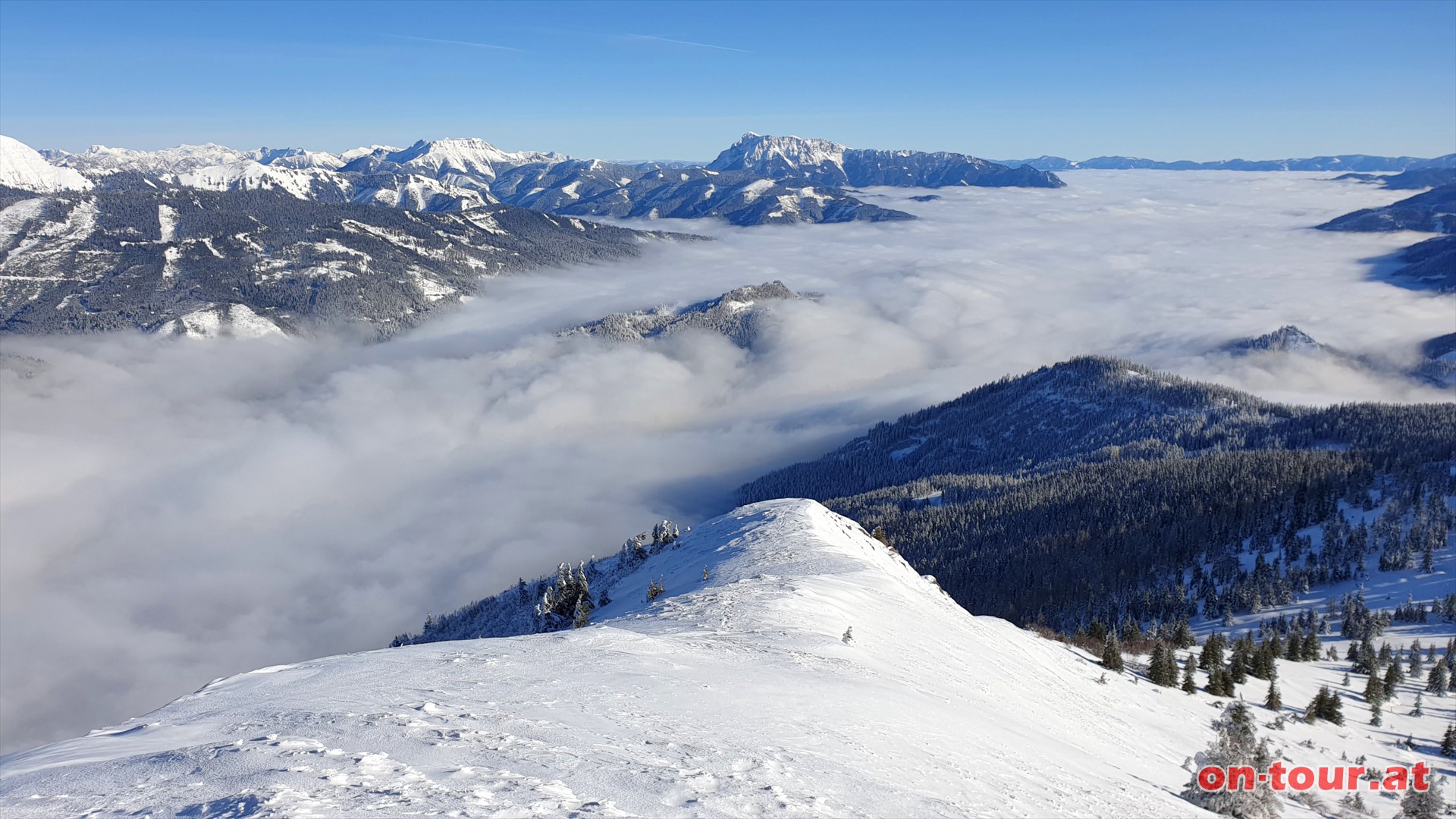 Groer Schober; SO-Blick ins Liesingtal und dem Geck.