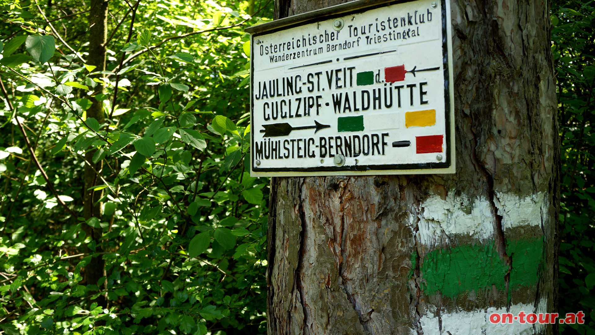 Nach der Pause wandern wir zurck zur Weggabelung und folgen dem markierten Wanderweg Richtung Groer Jauling-St. Veit.