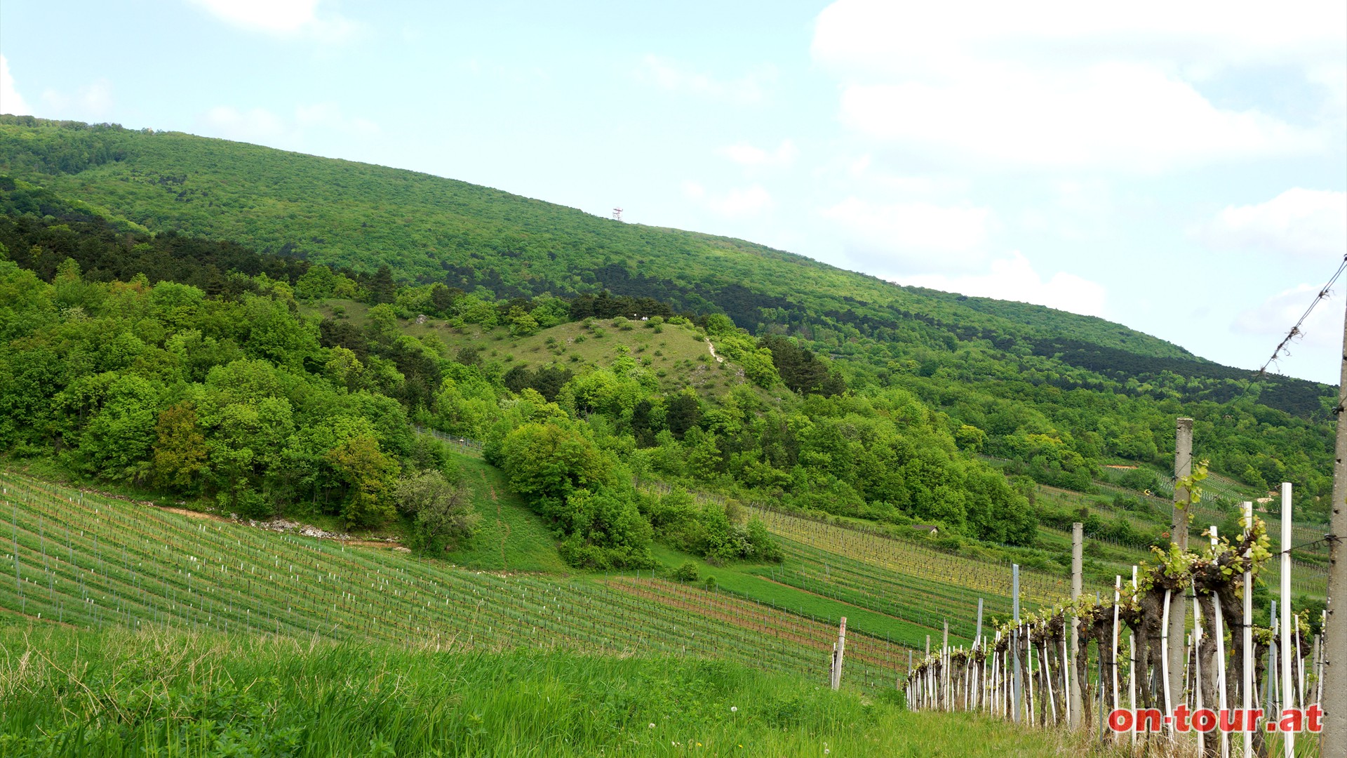 Naturschutzgebiet Heferlberg