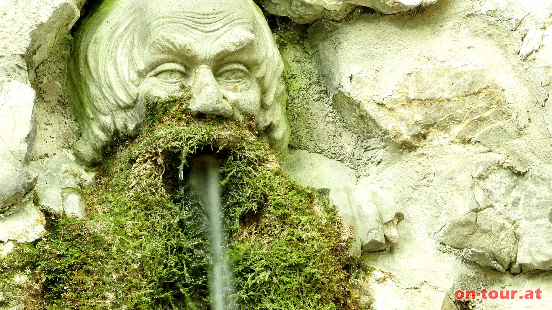 Der naturbelassene Bart des Wasserspenders bildet eine einmalige Symbiose von Natur- und Kulturkunstwerk.