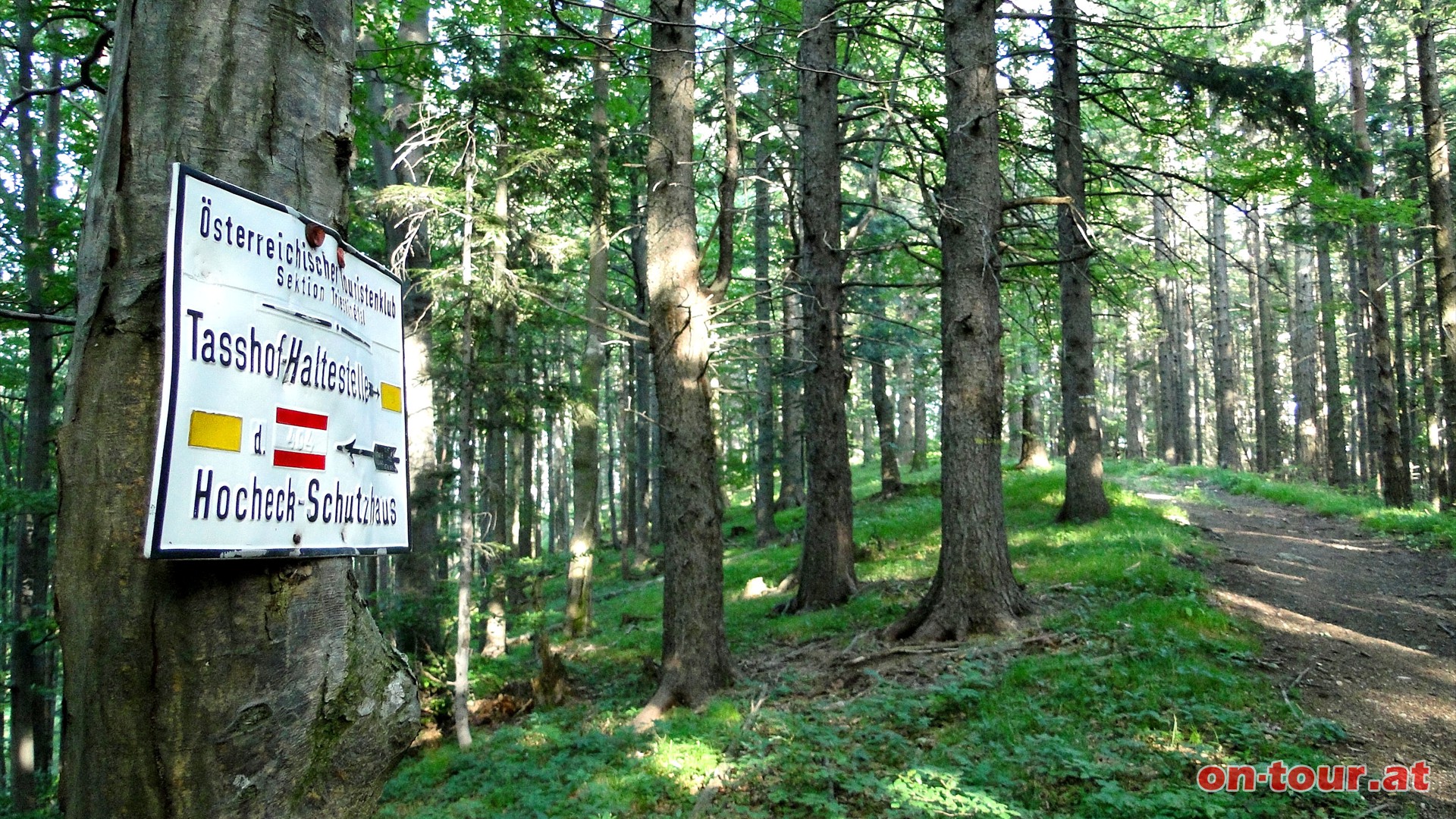 Richtung Sulzbach-Tasshof.