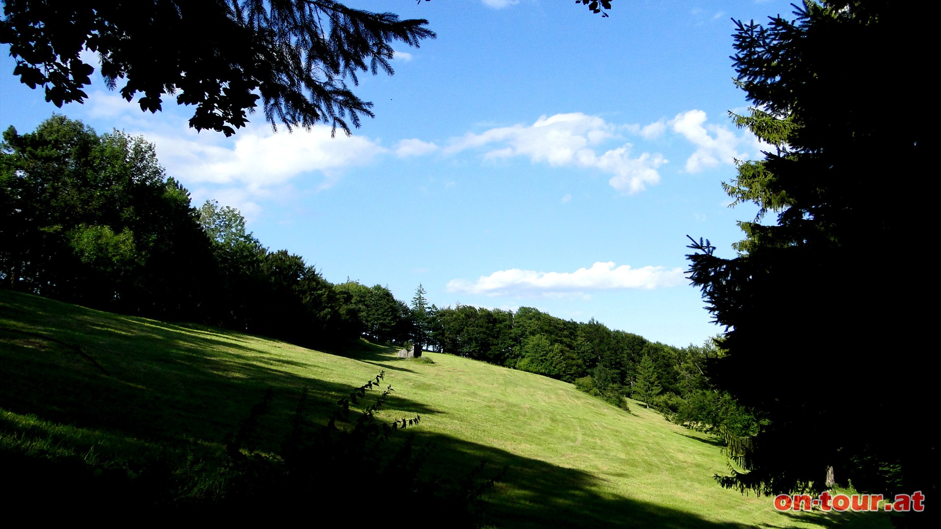 Weiter Richtung Eberbach-Weissenbach, am Mittagskogel vorbei.