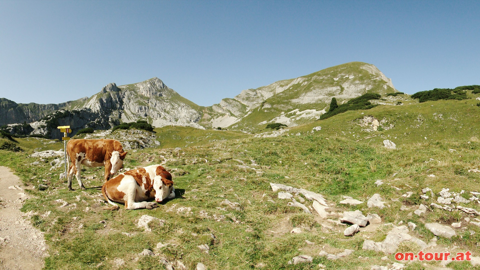 Eine landschaftlich besonders herausragende Strecke; auch hier im begrnten Kessel unterhalb der Hochiss (links).