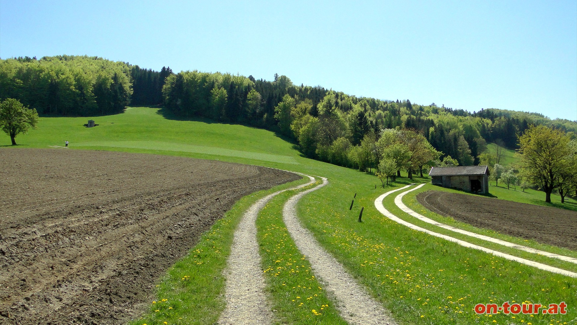 Ab Oberaigen folgen wir dem Feldweg. Beim Wasserspeicher dann rechts ber die Wiese bis zum Wald bergauf (Weg bis Kamm nicht markiert!).