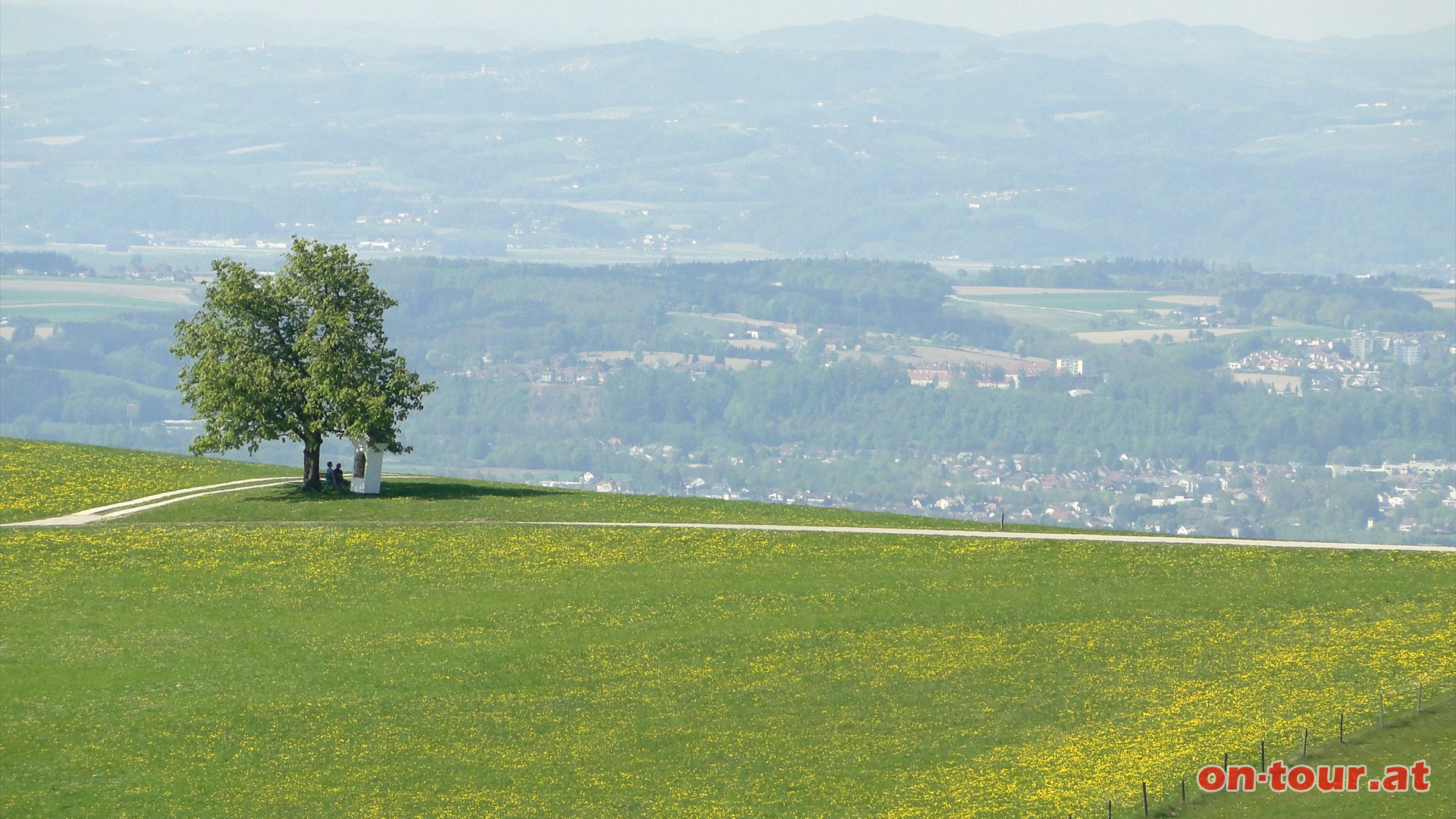 Am Hochkogelkamm angelangt reicht der Ausblick nach Norden bis Amstetten und ins Donautal.