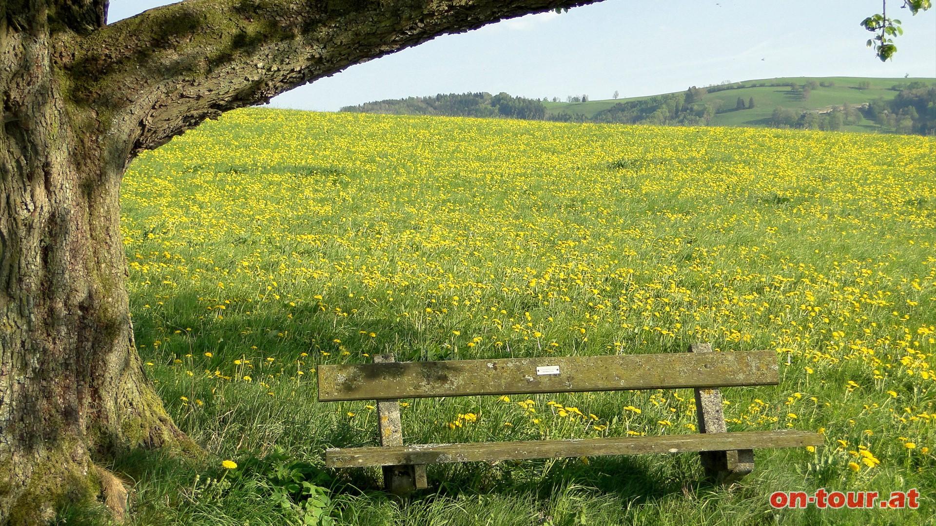 Am Latzelsberg stoen wir auf eine einladende Pausenbank und einen ........