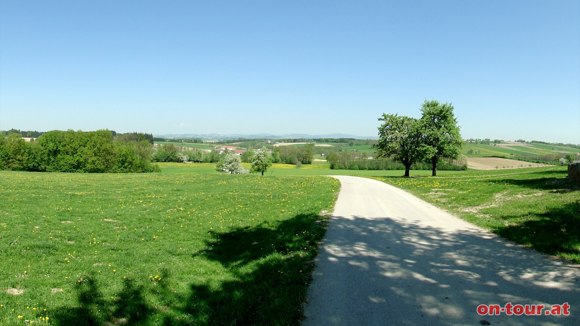 Auf dem Gterweg Richtung Vlkrahof. Rckblick nach Norden kurz vor Vlkrahof.